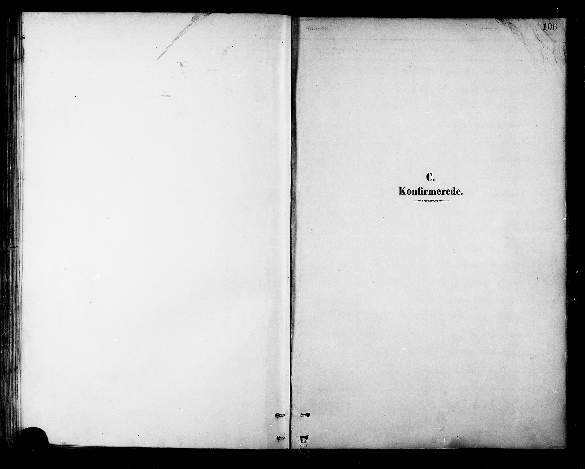 Ministerialprotokoller, klokkerbøker og fødselsregistre - Nordland, AV/SAT-A-1459/881/L1167: Parish register (copy) no. 881C04, 1886-1899, p. 106