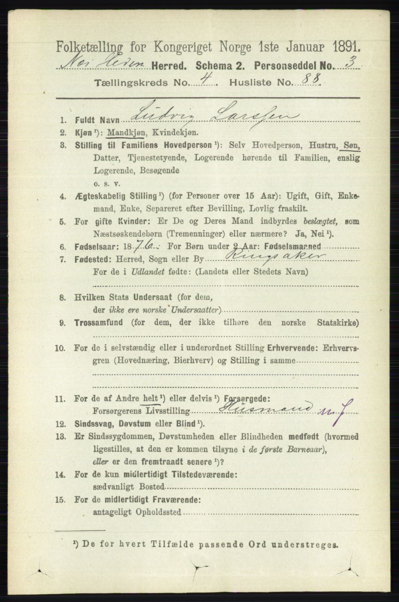 RA, 1891 census for 0411 Nes, 1891, p. 2513