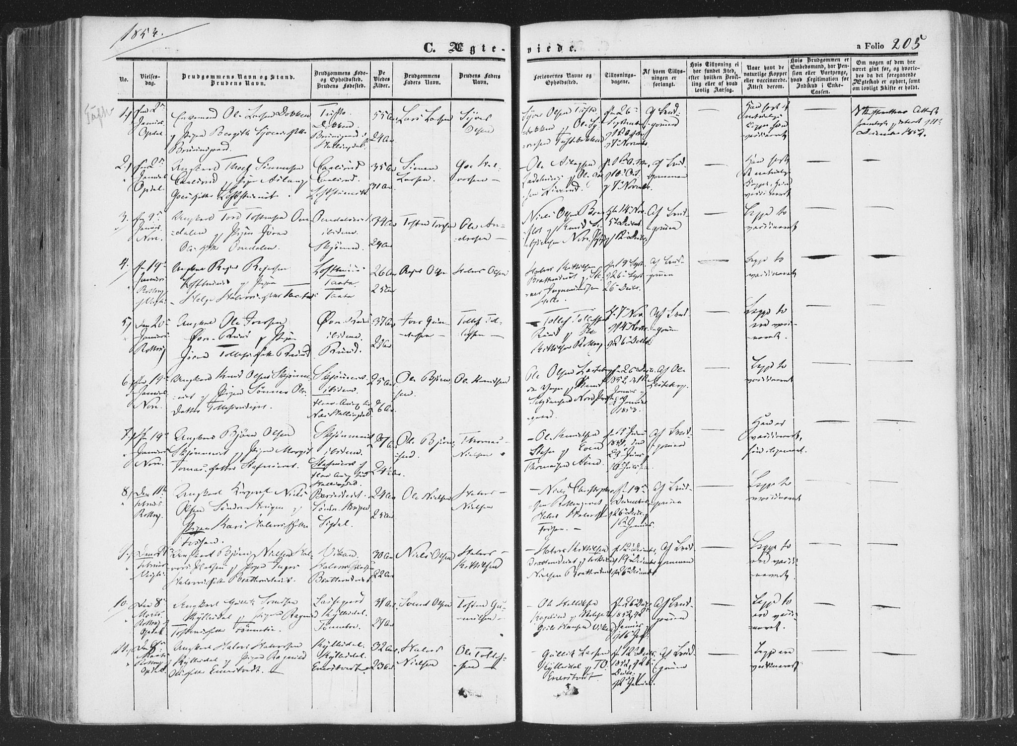 Rollag kirkebøker, SAKO/A-240/F/Fa/L0008: Parish register (official) no. I 8, 1847-1860, p. 205