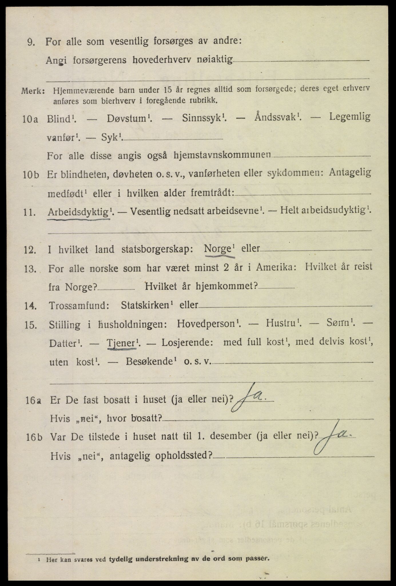 SAH, 1920 census for Sør-Aurdal, 1920, p. 1528