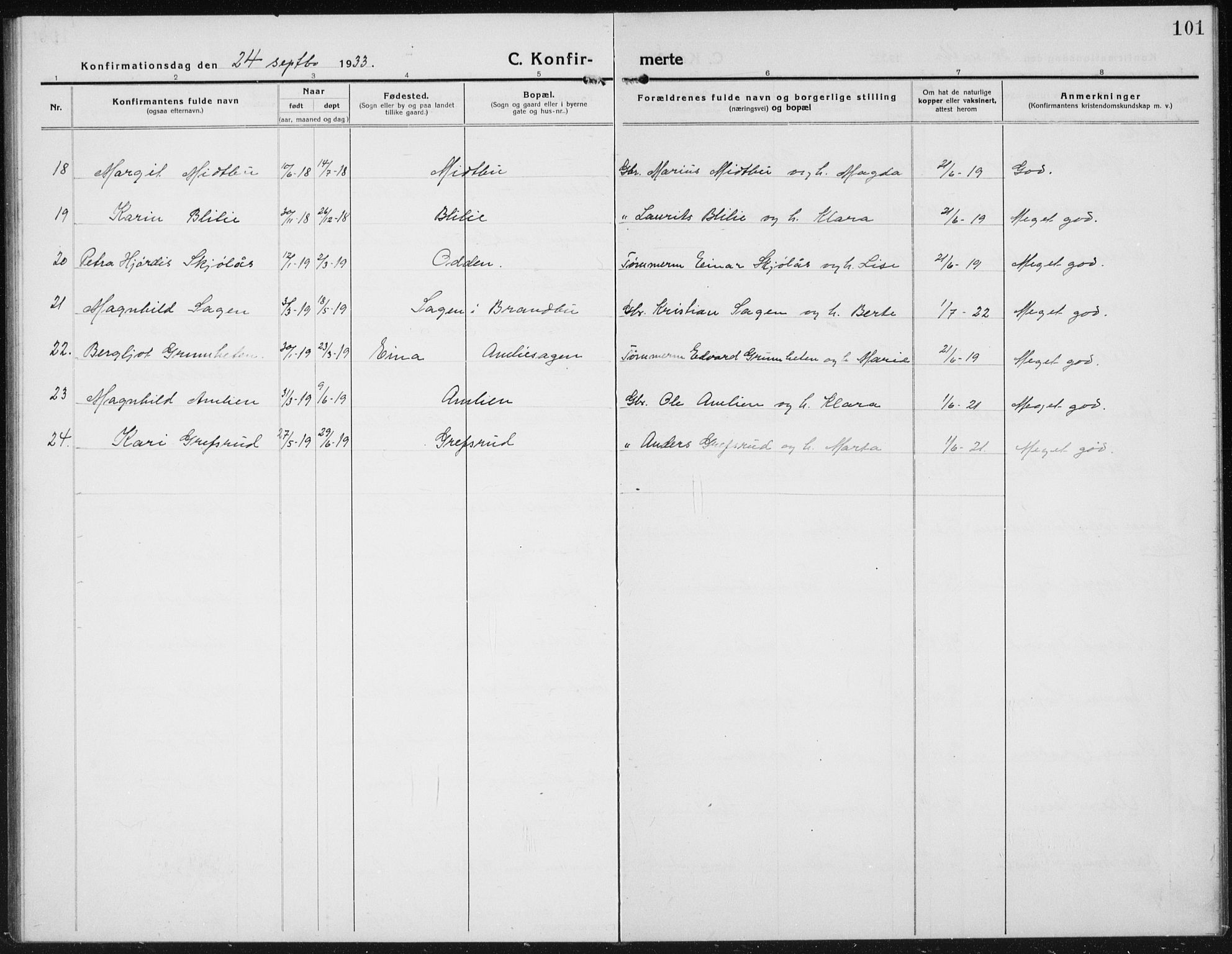 Kolbu prestekontor, AV/SAH-PREST-110/H/Ha/Hab/L0006: Parish register (copy) no. 6, 1916-1934, p. 101