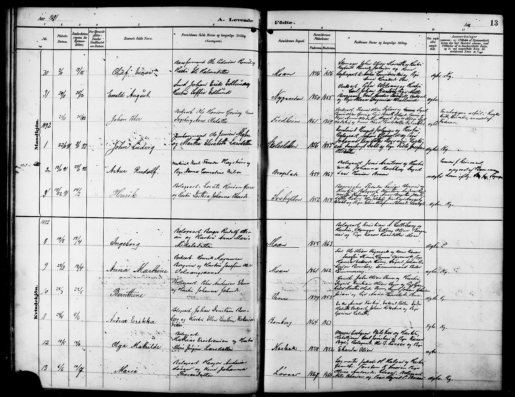Ministerialprotokoller, klokkerbøker og fødselsregistre - Sør-Trøndelag, SAT/A-1456/617/L0431: Parish register (copy) no. 617C01, 1889-1910, p. 13