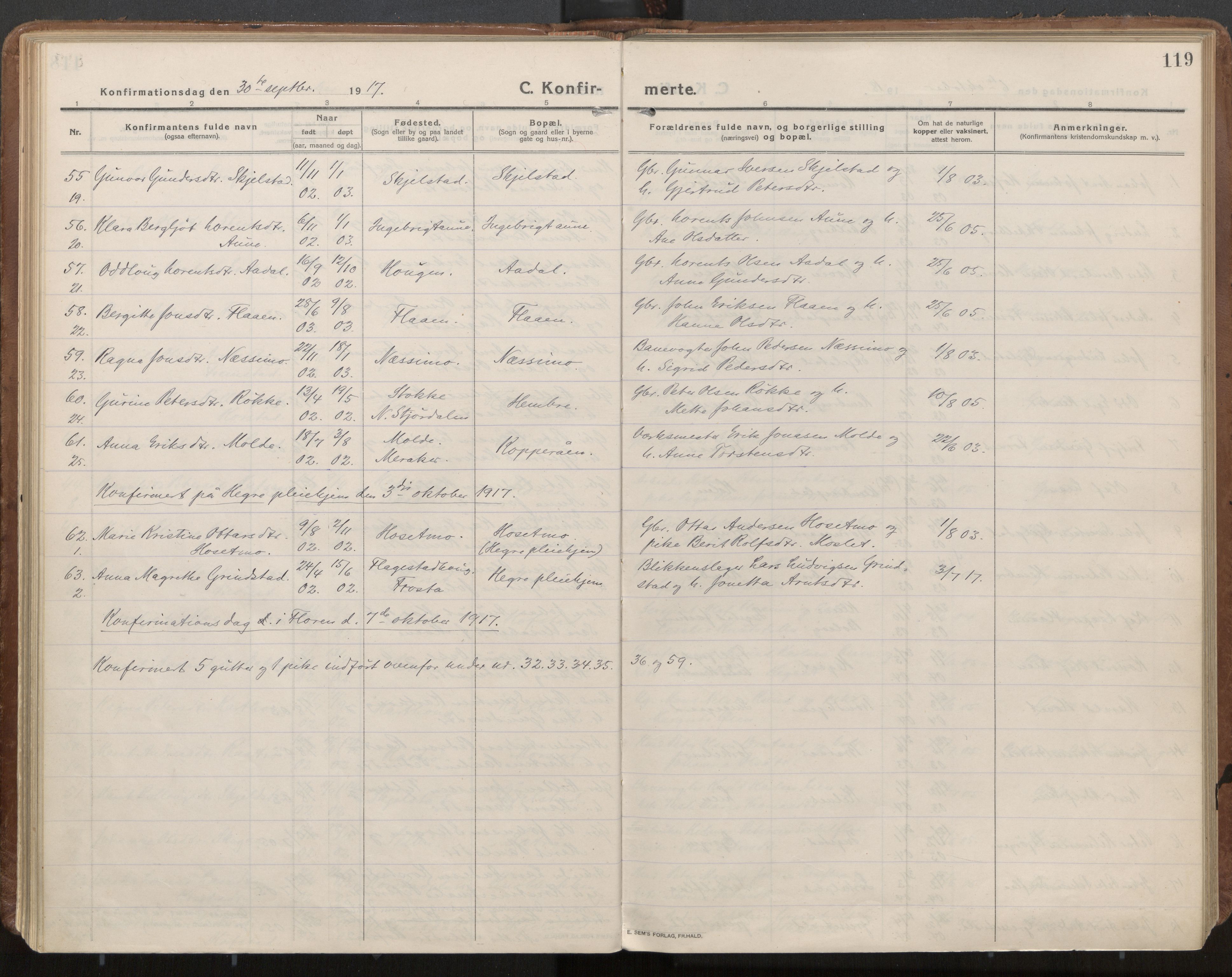 Ministerialprotokoller, klokkerbøker og fødselsregistre - Nord-Trøndelag, SAT/A-1458/703/L0037: Parish register (official) no. 703A10, 1915-1932, p. 119