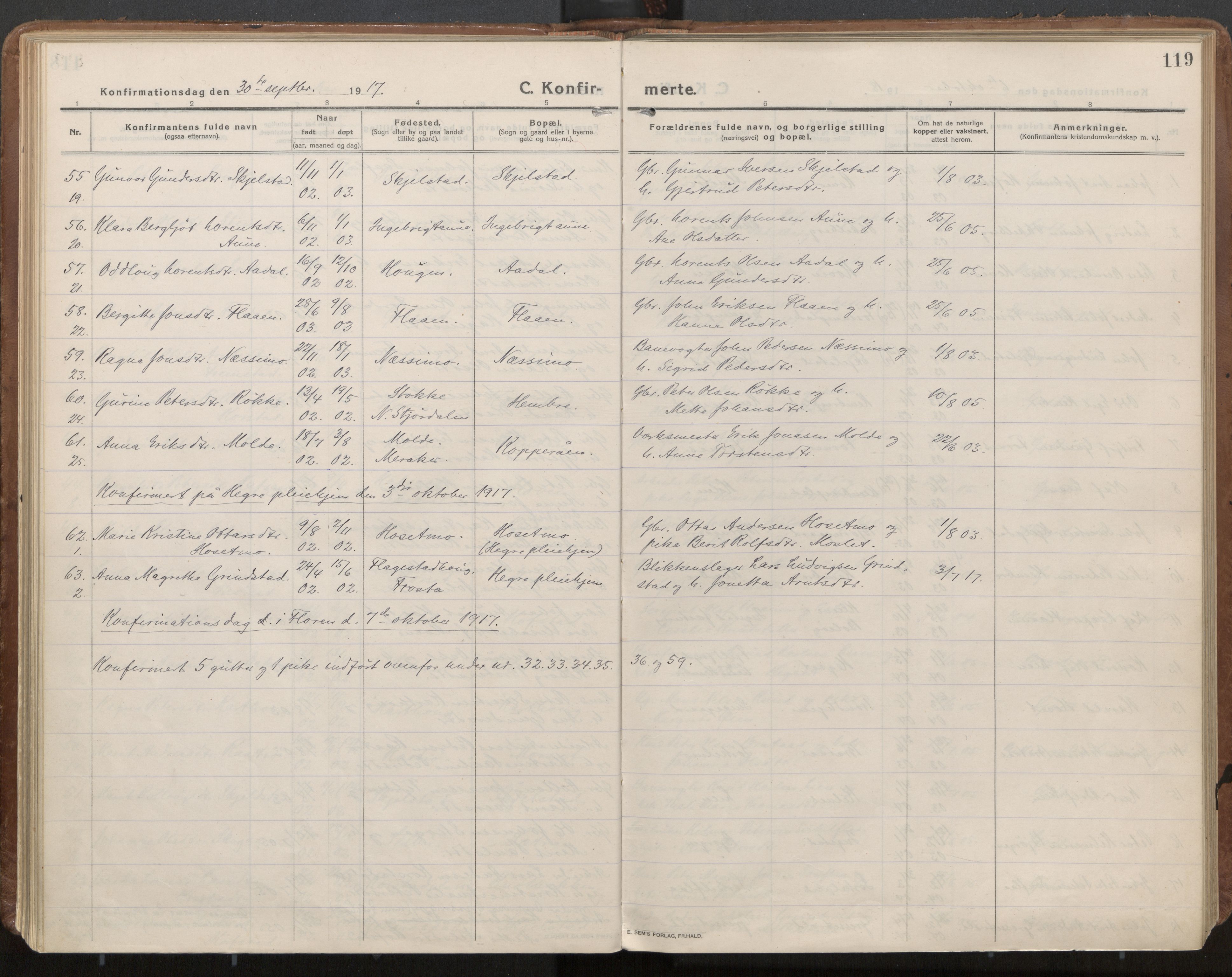 Ministerialprotokoller, klokkerbøker og fødselsregistre - Nord-Trøndelag, AV/SAT-A-1458/703/L0037: Parish register (official) no. 703A10, 1915-1932, p. 119