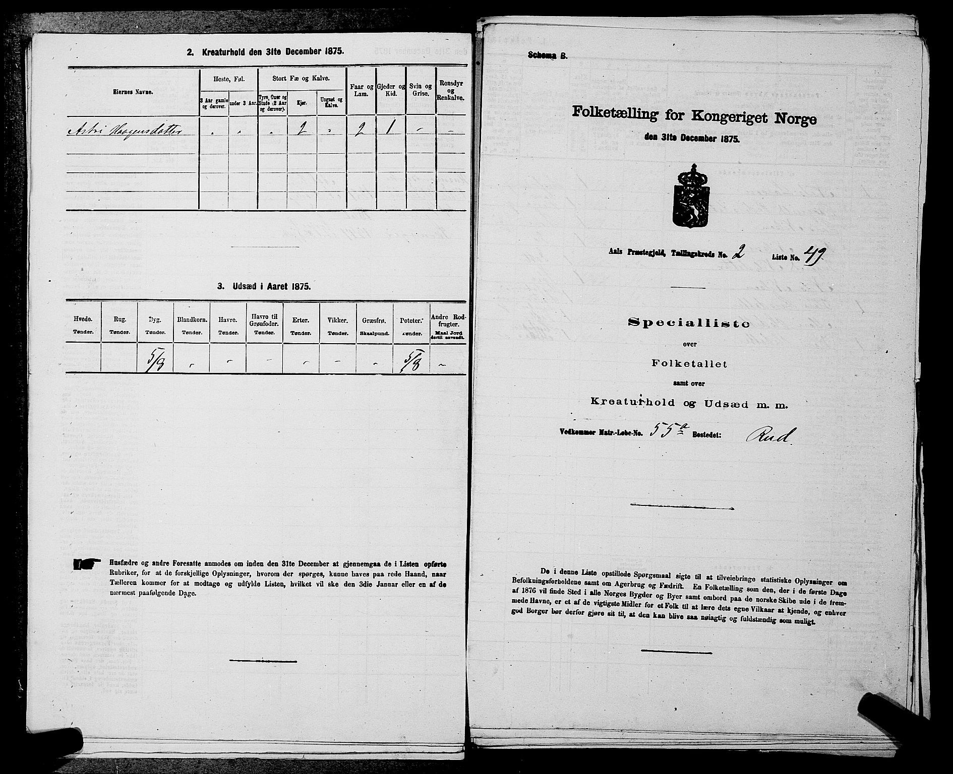 SAKO, 1875 census for 0619P Ål, 1875, p. 218