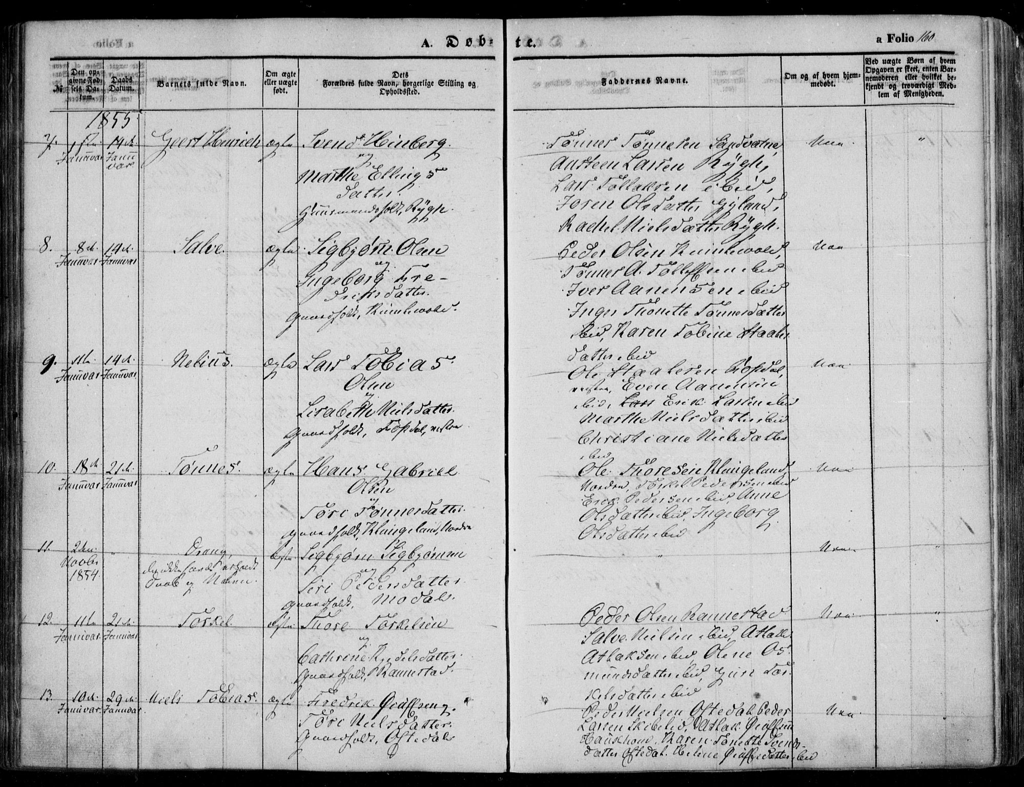 Bakke sokneprestkontor, SAK/1111-0002/F/Fa/Faa/L0005: Parish register (official) no. A 5, 1847-1855, p. 160