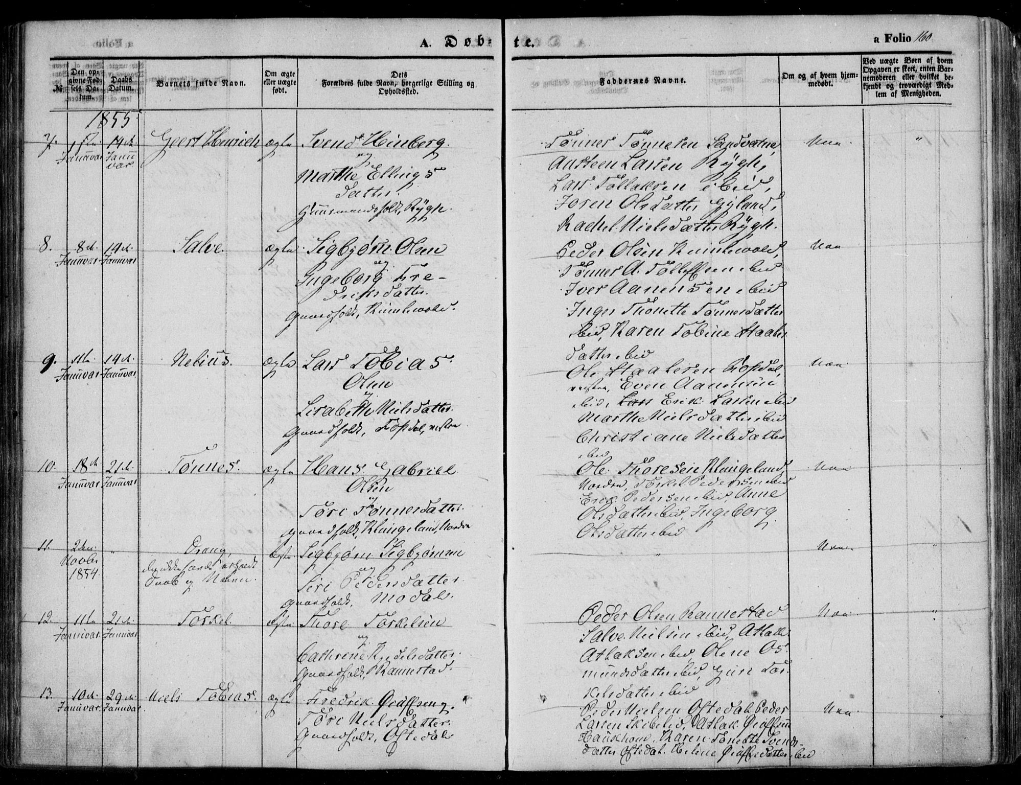 Bakke sokneprestkontor, AV/SAK-1111-0002/F/Fa/Faa/L0005: Parish register (official) no. A 5, 1847-1855, p. 160