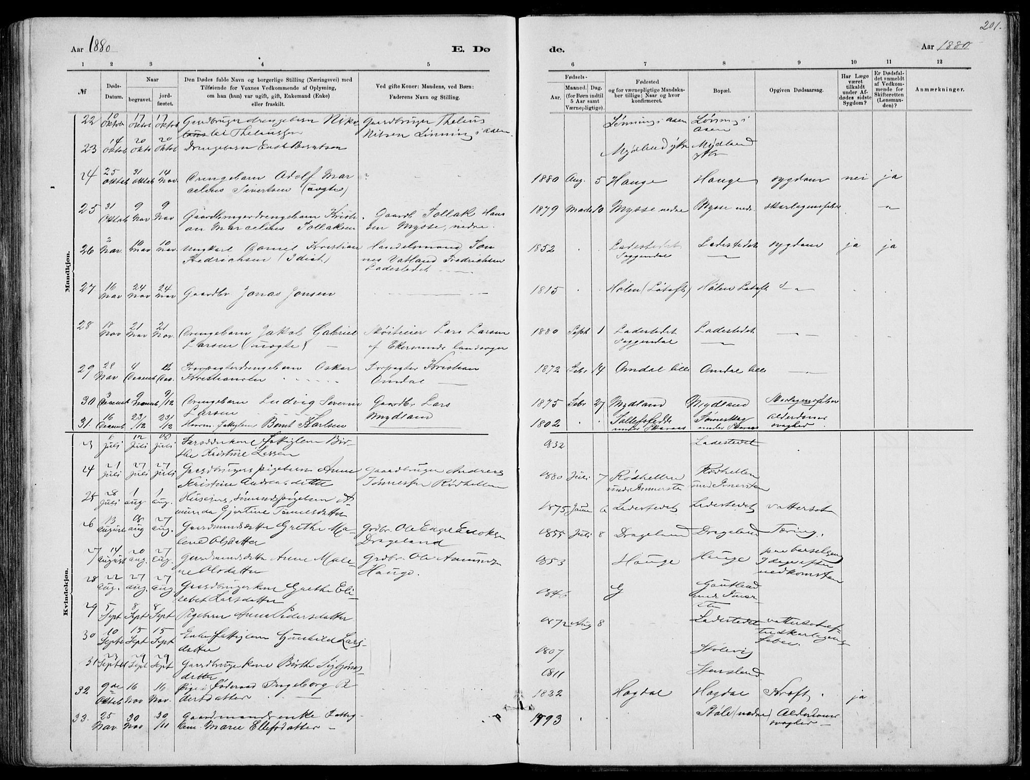 Sokndal sokneprestkontor, AV/SAST-A-101808: Parish register (copy) no. B 4, 1880-1891, p. 201