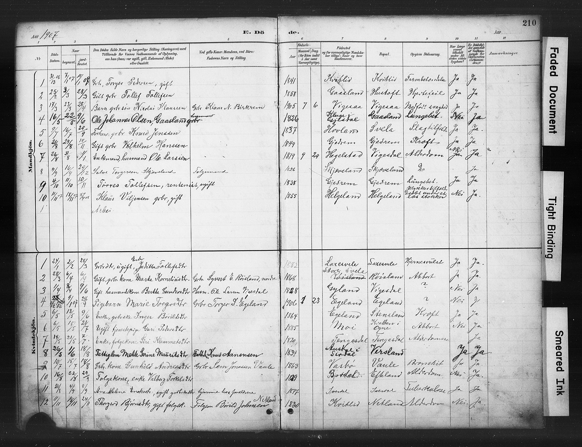 Helleland sokneprestkontor, SAST/A-101810: Parish register (copy) no. B 5, 1887-1908, p. 210