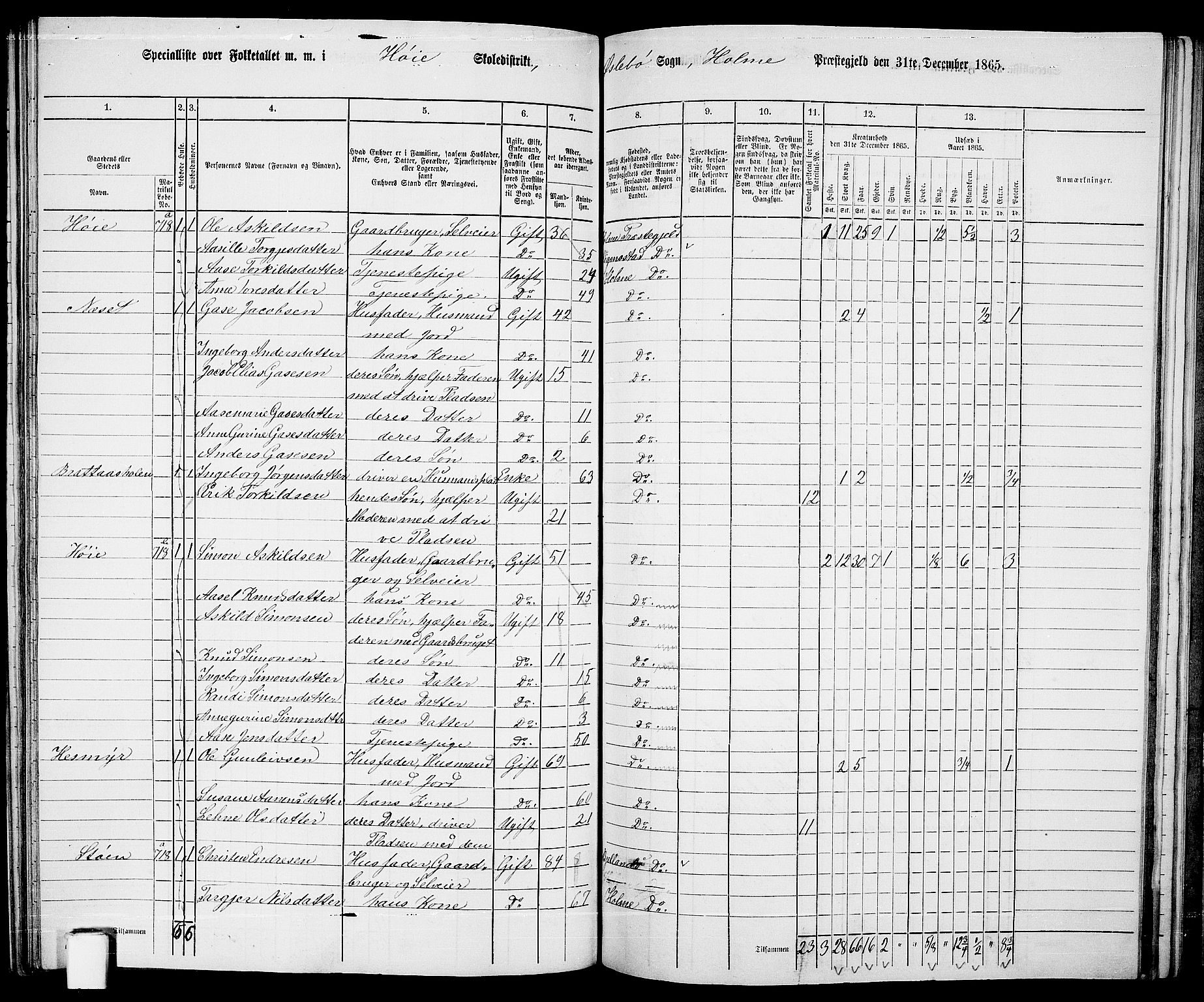 RA, 1865 census for Holum, 1865, p. 133