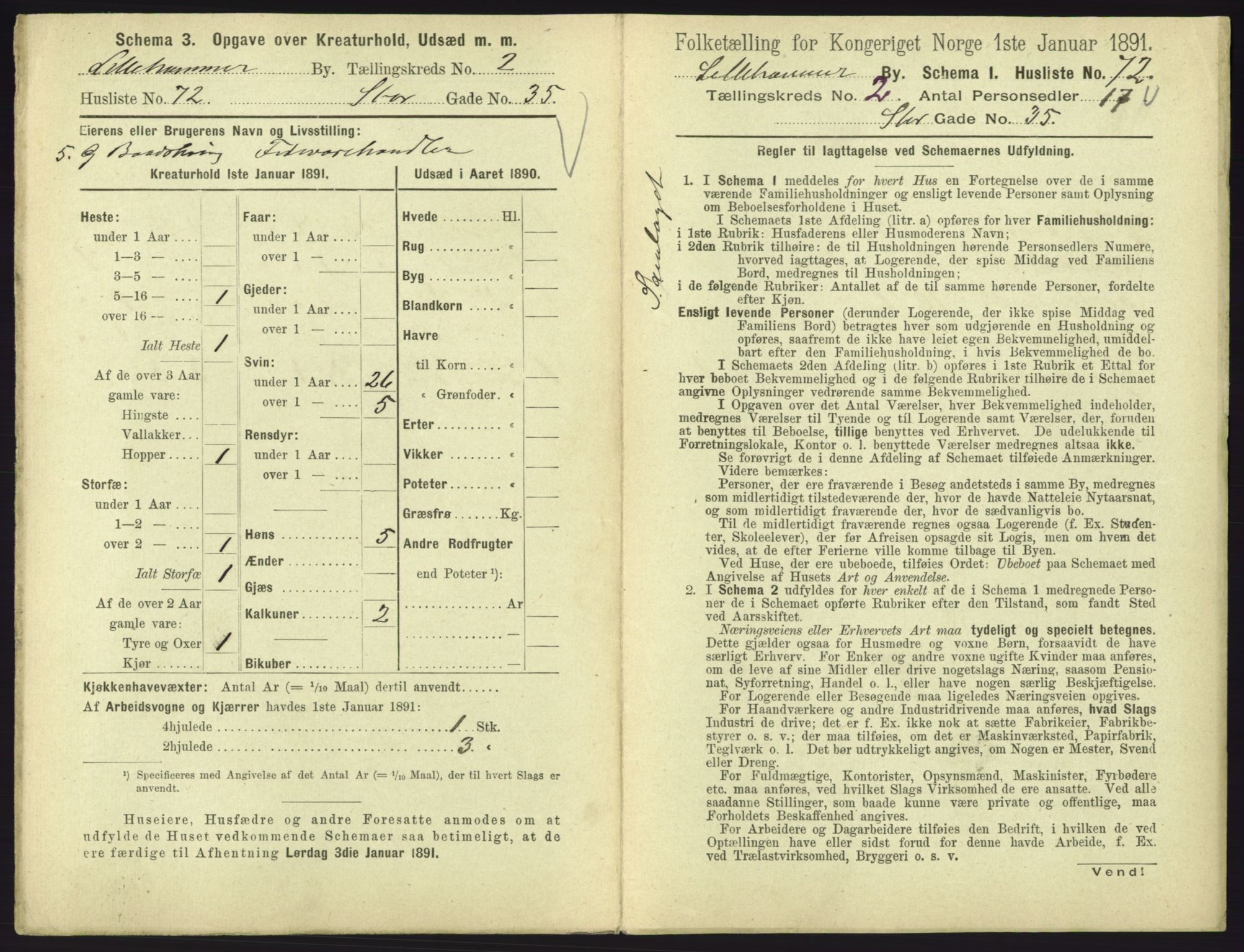 RA, 1891 census for 0501 Lillehammer, 1891, p. 363