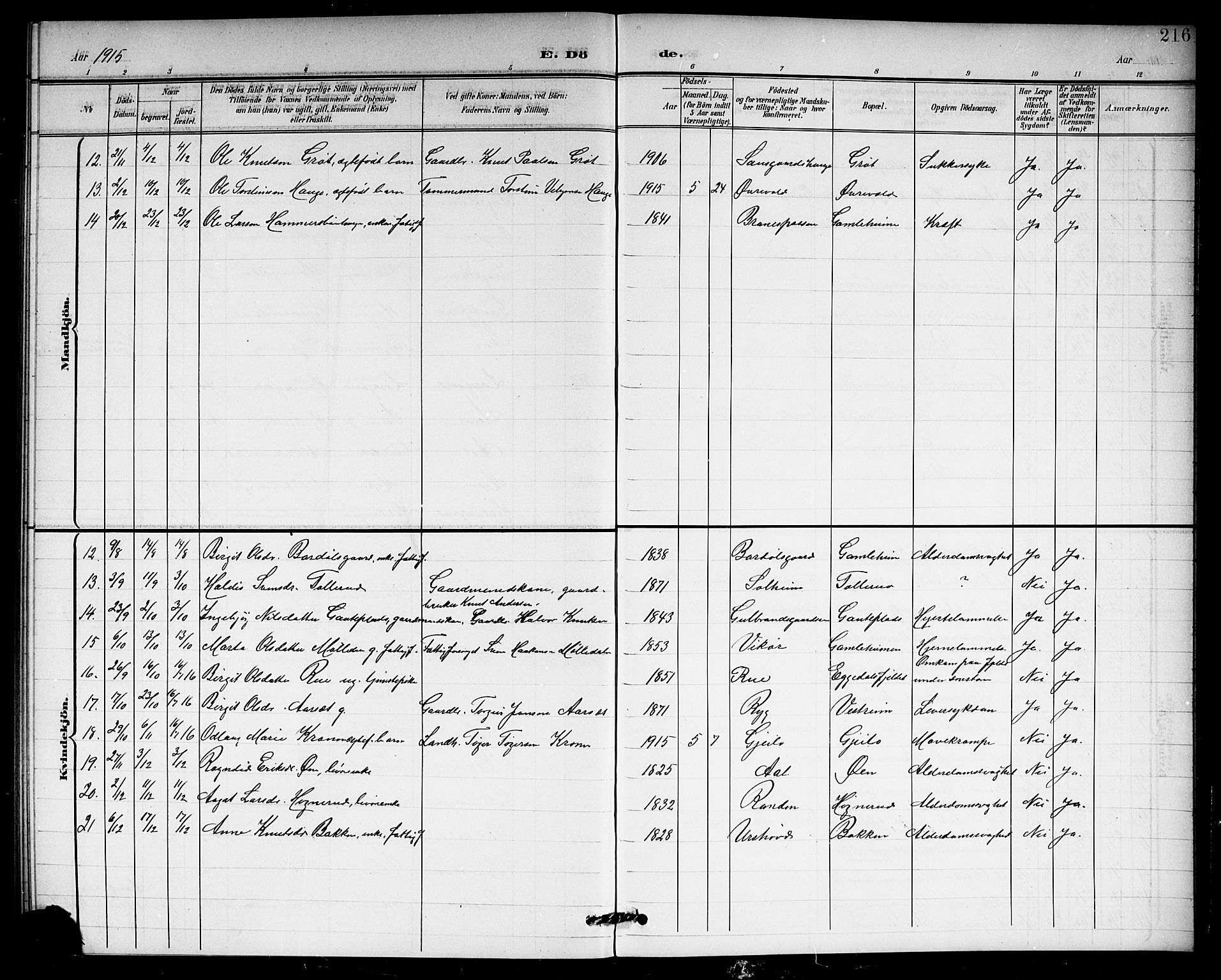 Hol kirkebøker, AV/SAKO-A-227/G/Ga/L0001: Parish register (copy) no. I 1, 1900-1919, p. 216