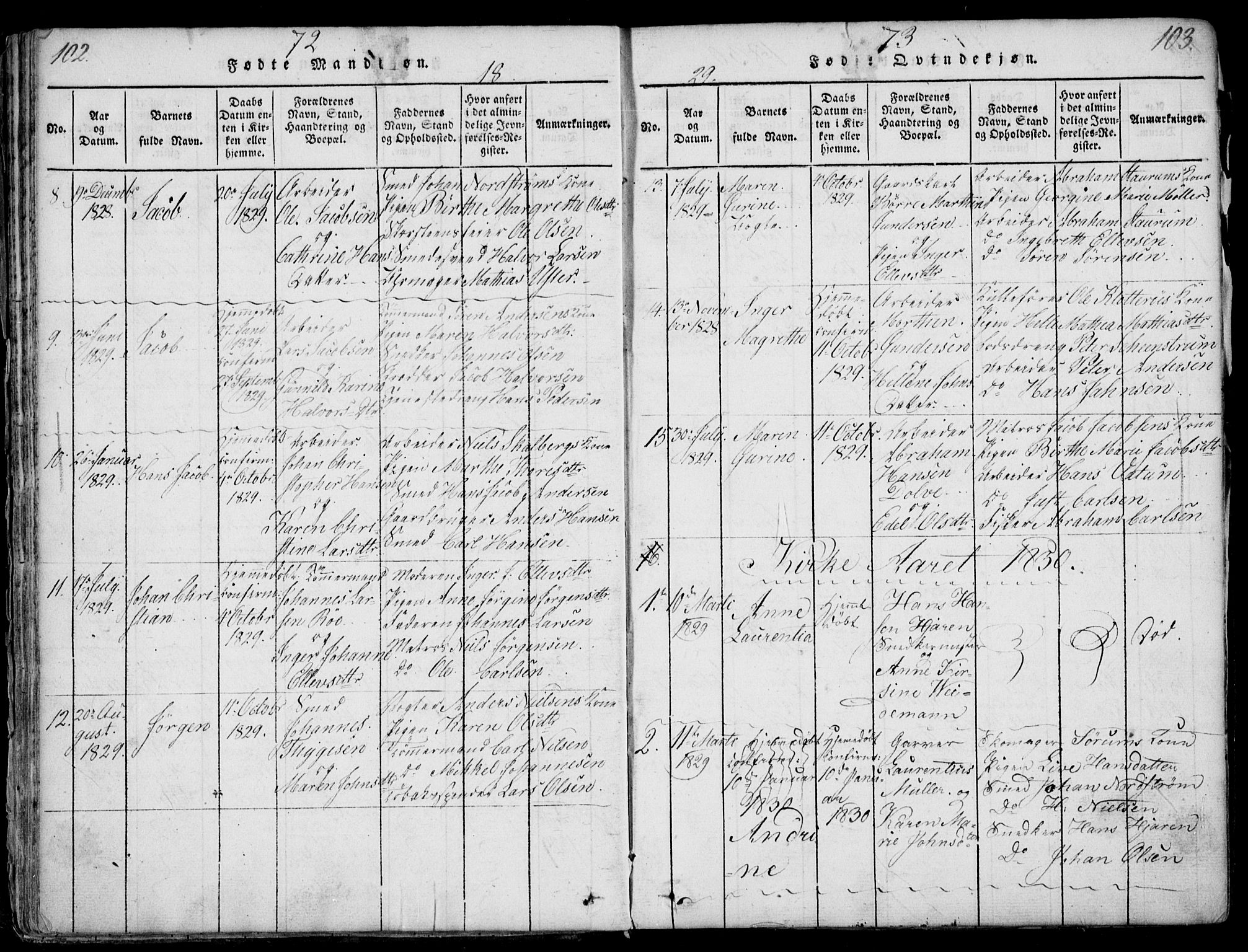 Larvik kirkebøker, AV/SAKO-A-352/F/Fb/L0002: Parish register (official) no. II 2, 1818-1842, p. 102-103