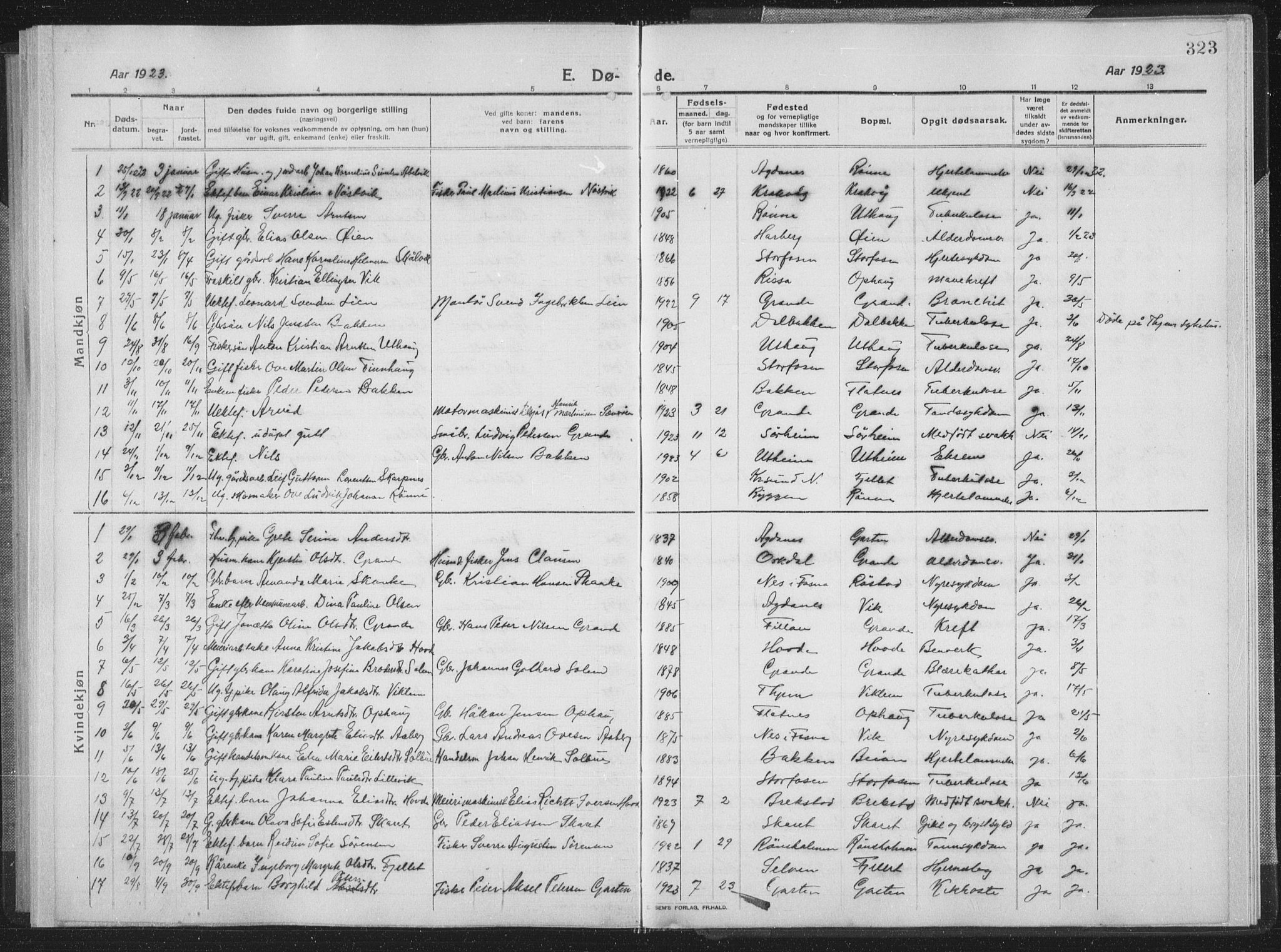Ministerialprotokoller, klokkerbøker og fødselsregistre - Sør-Trøndelag, SAT/A-1456/659/L0747: Parish register (copy) no. 659C04, 1913-1938, p. 323
