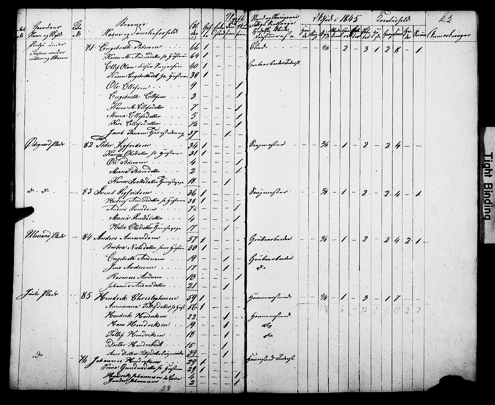 , Census 1845 for Gjerpen, 1845, p. 22