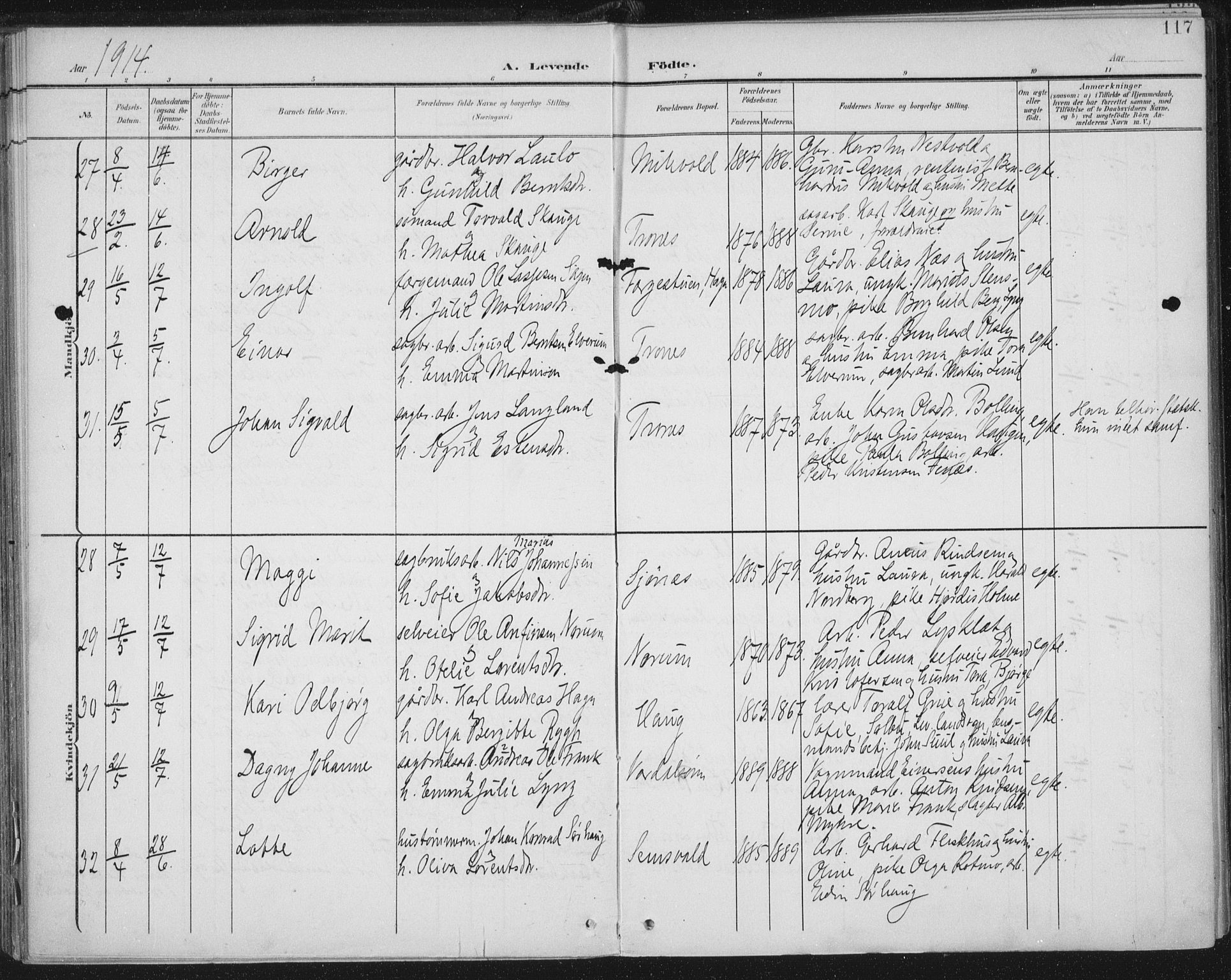 Ministerialprotokoller, klokkerbøker og fødselsregistre - Nord-Trøndelag, SAT/A-1458/723/L0246: Parish register (official) no. 723A15, 1900-1917, p. 117