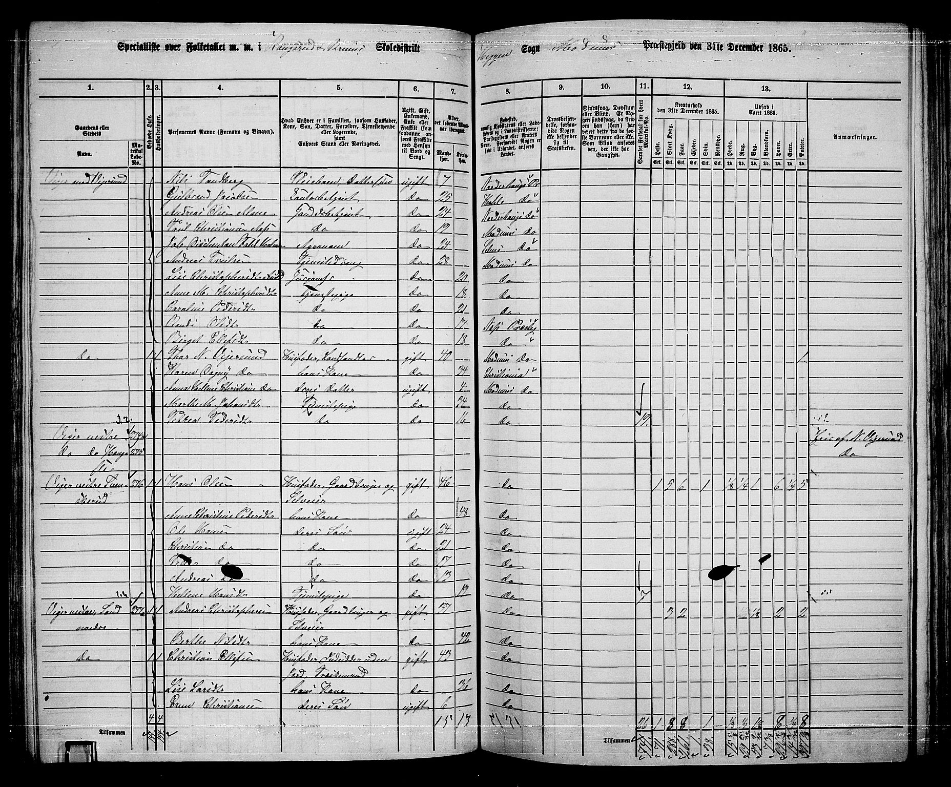 RA, 1865 census for Modum, 1865, p. 163