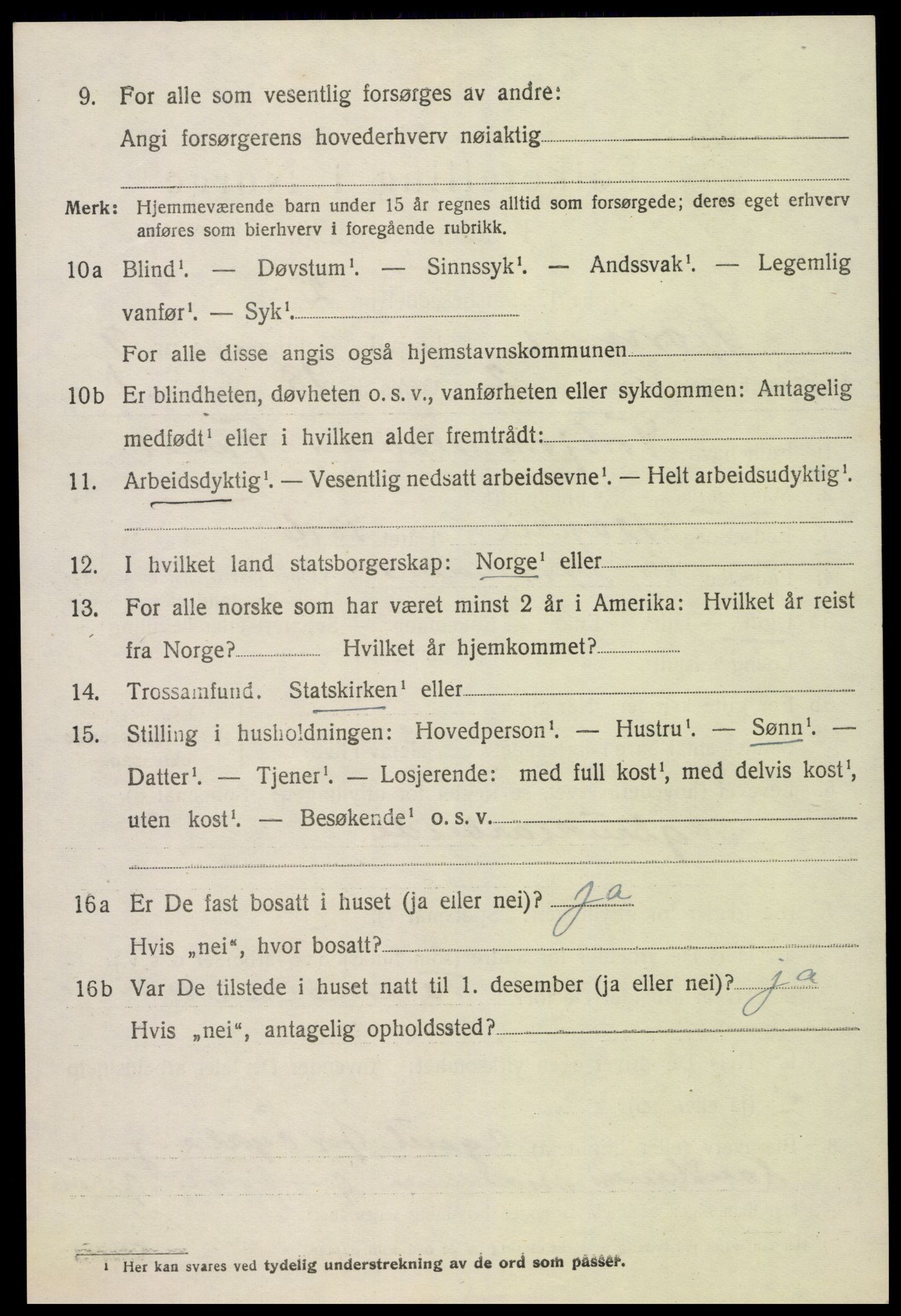 SAK, 1920 census for Hornnes, 1920, p. 2204