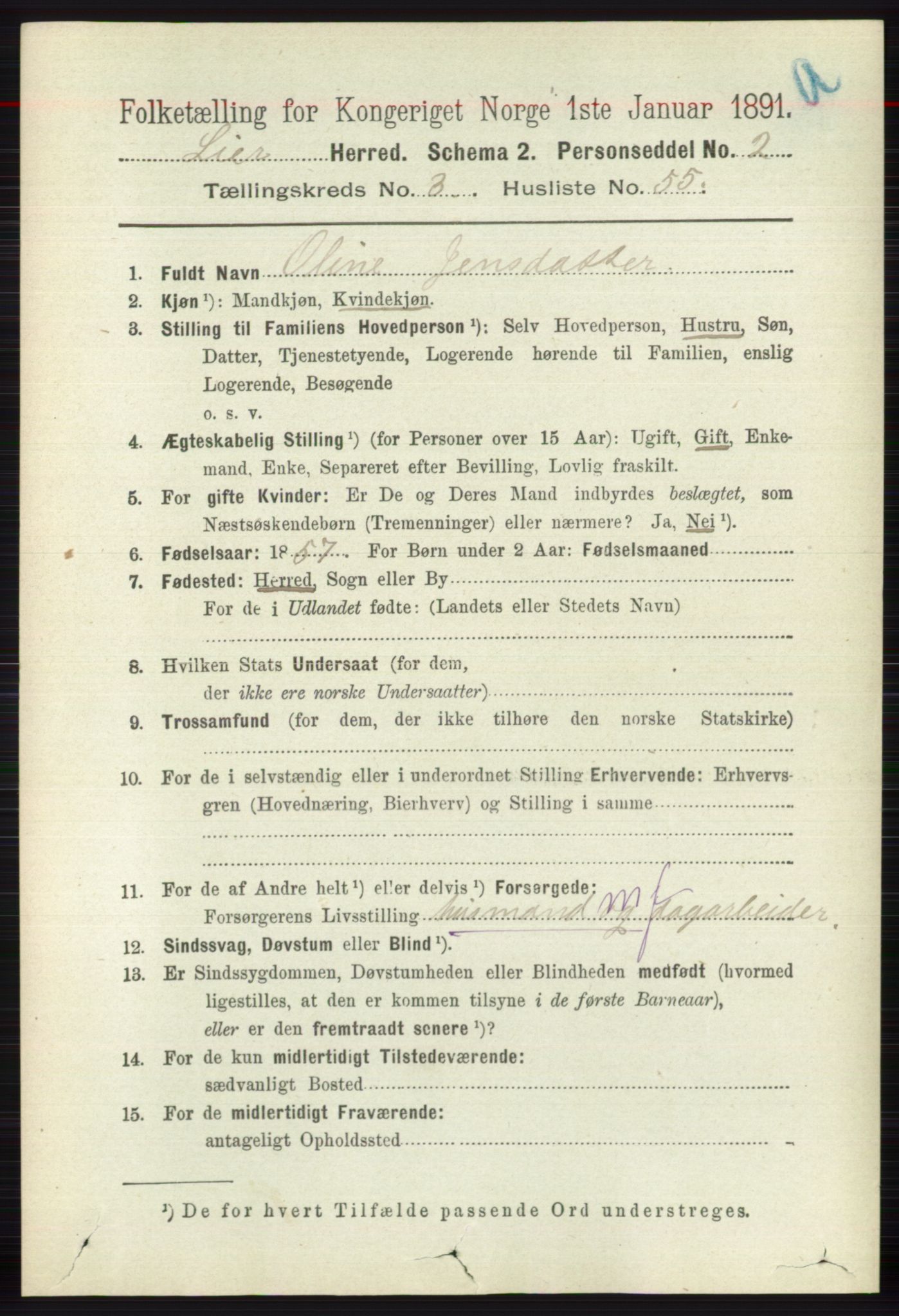 RA, 1891 census for 0626 Lier, 1891, p. 2797