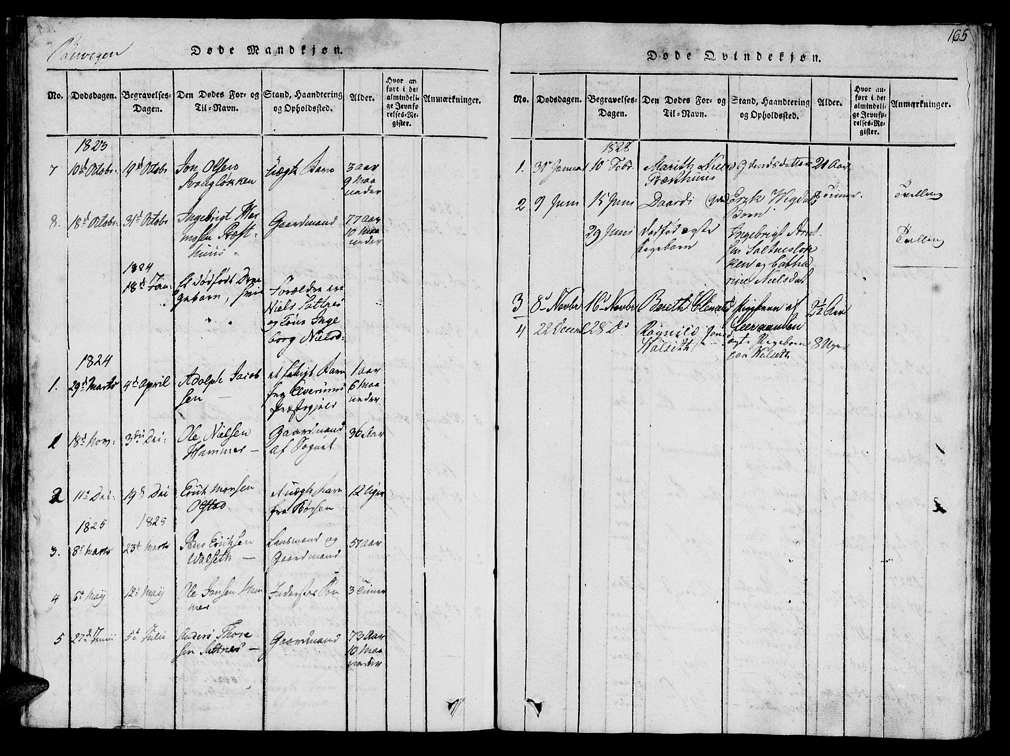 Ministerialprotokoller, klokkerbøker og fødselsregistre - Sør-Trøndelag, SAT/A-1456/612/L0373: Parish register (official) no. 612A06 /2, 1816-1828, p. 165
