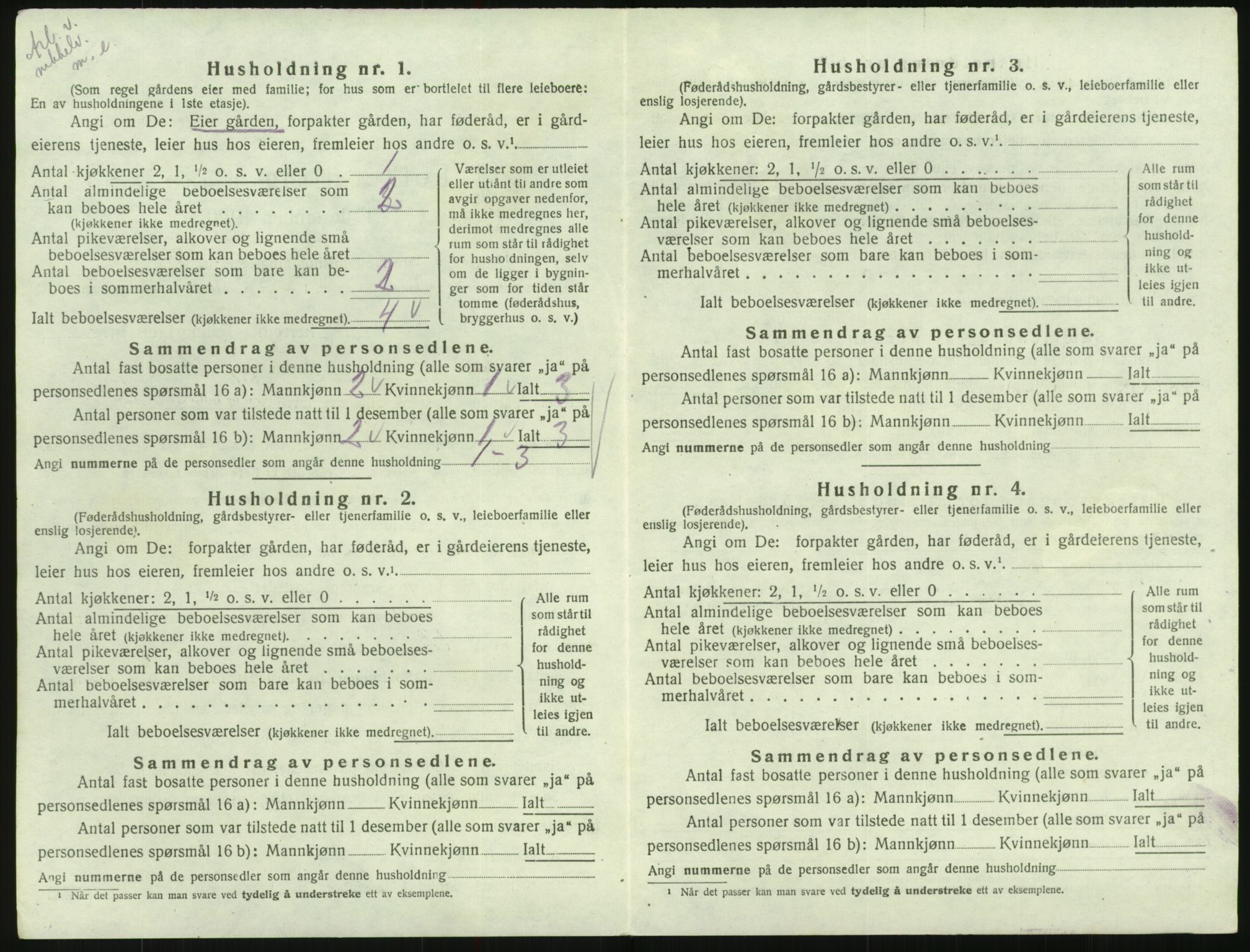 SAK, 1920 census for Hornnes, 1920, p. 150