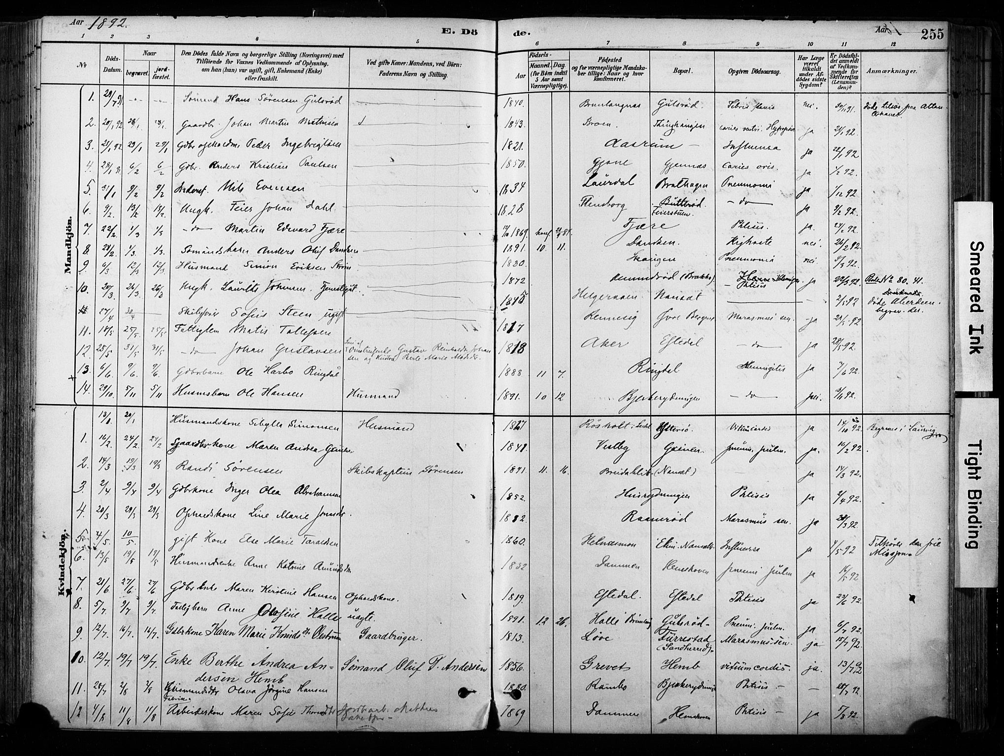 Hedrum kirkebøker, SAKO/A-344/F/Fa/L0009: Parish register (official) no. I 9, 1881-1903, p. 255