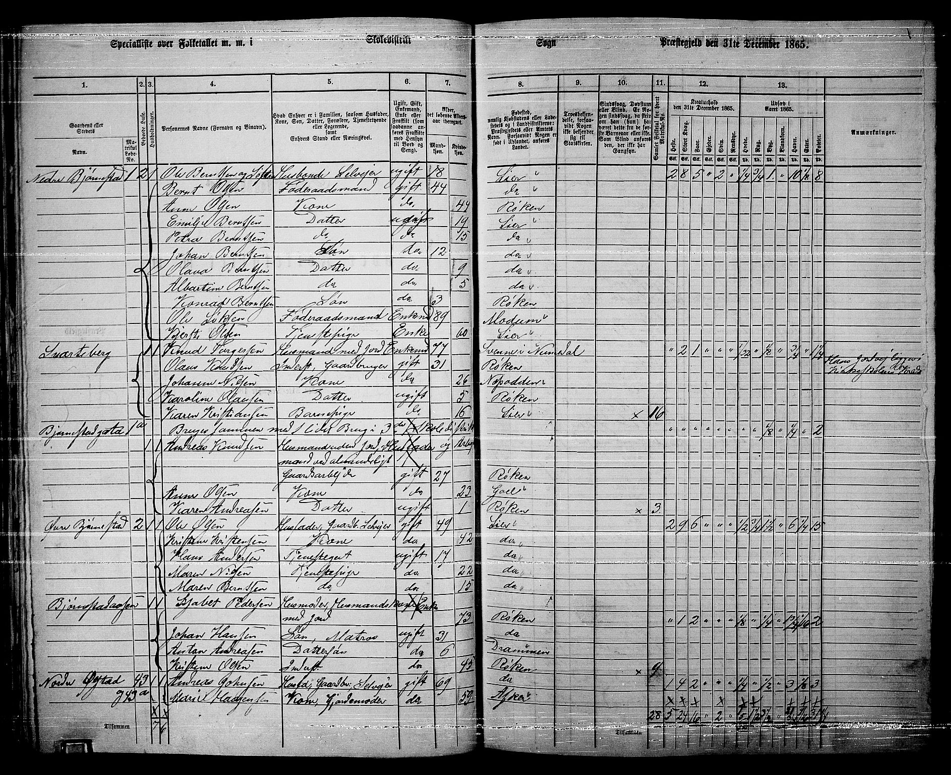 RA, 1865 census for Røyken, 1865, p. 65