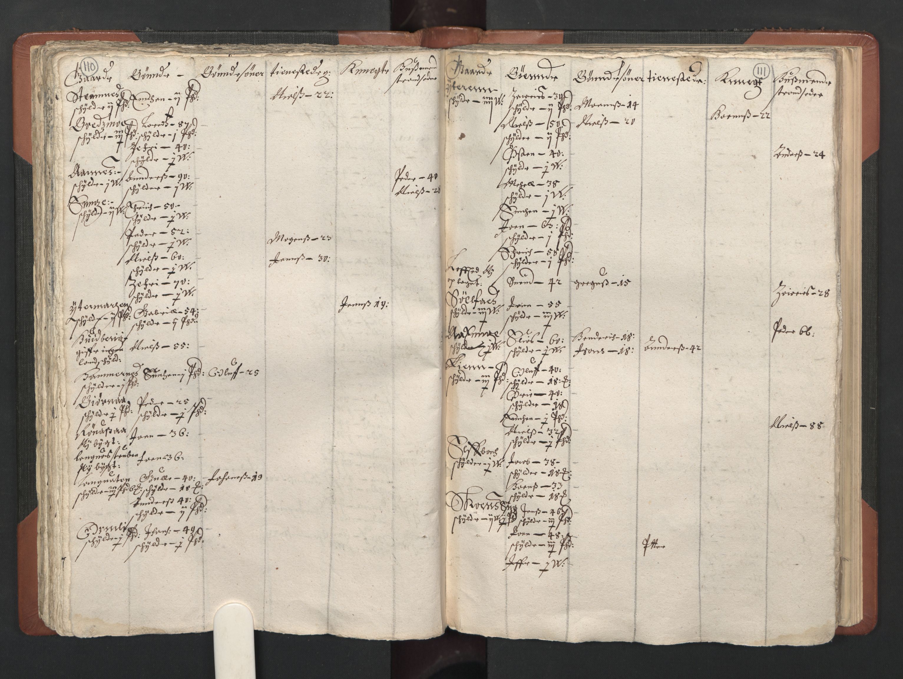 RA, Bailiff's Census 1664-1666, no. 20: Modern Nordland county, modern Troms county and modern Finnmark county, 1665, p. 110-111