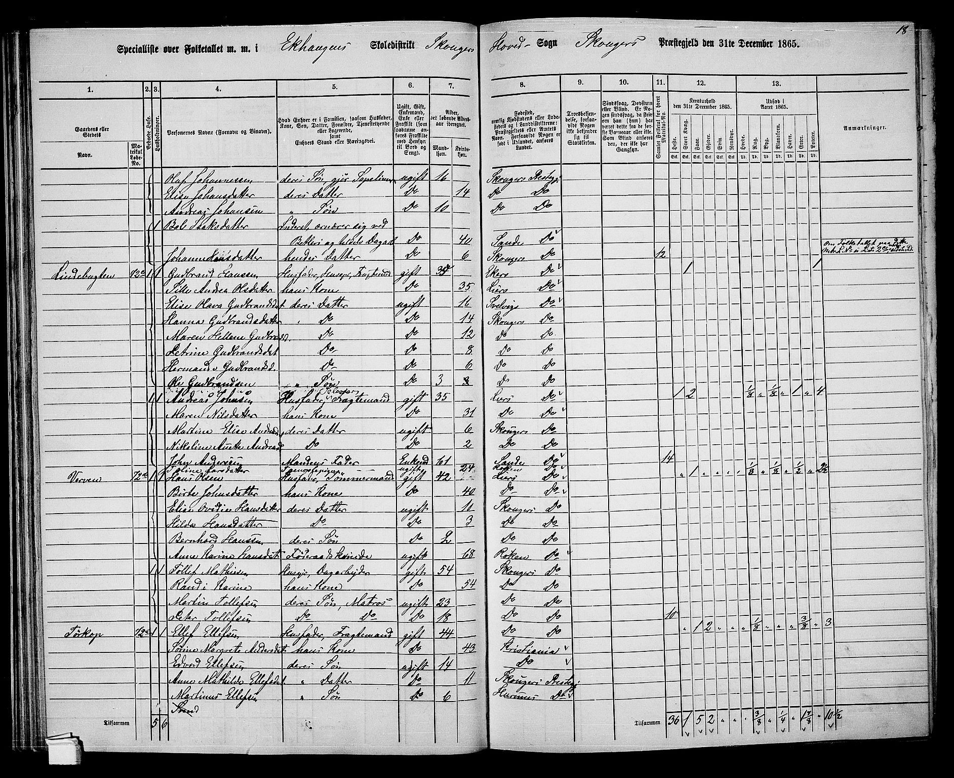 RA, 1865 census for Skoger, 1865, p. 58