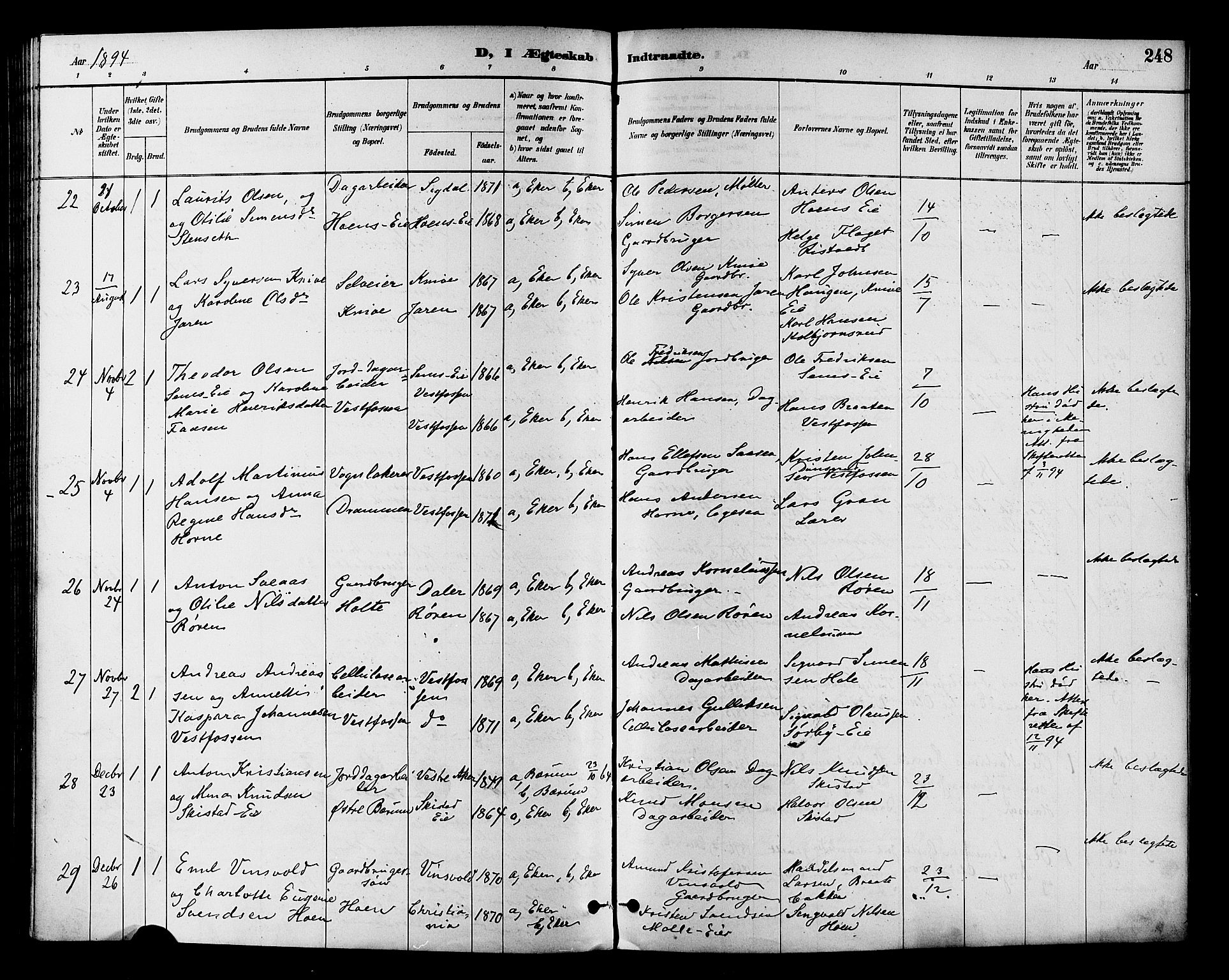 Eiker kirkebøker, SAKO/A-4/F/Fb/L0002: Parish register (official) no. II 2, 1889-1896, p. 248