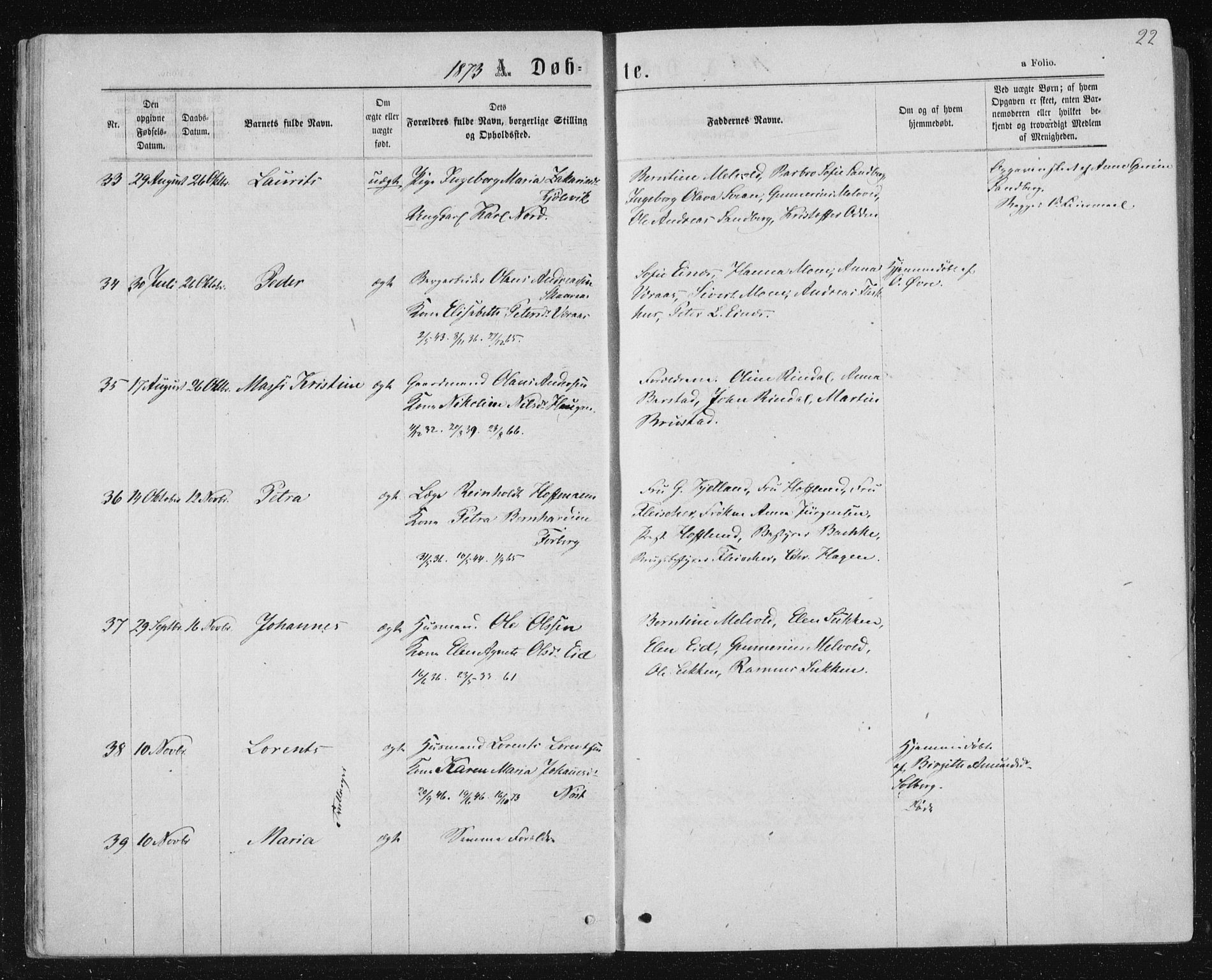 Ministerialprotokoller, klokkerbøker og fødselsregistre - Nord-Trøndelag, AV/SAT-A-1458/722/L0219: Parish register (official) no. 722A06, 1868-1880, p. 22