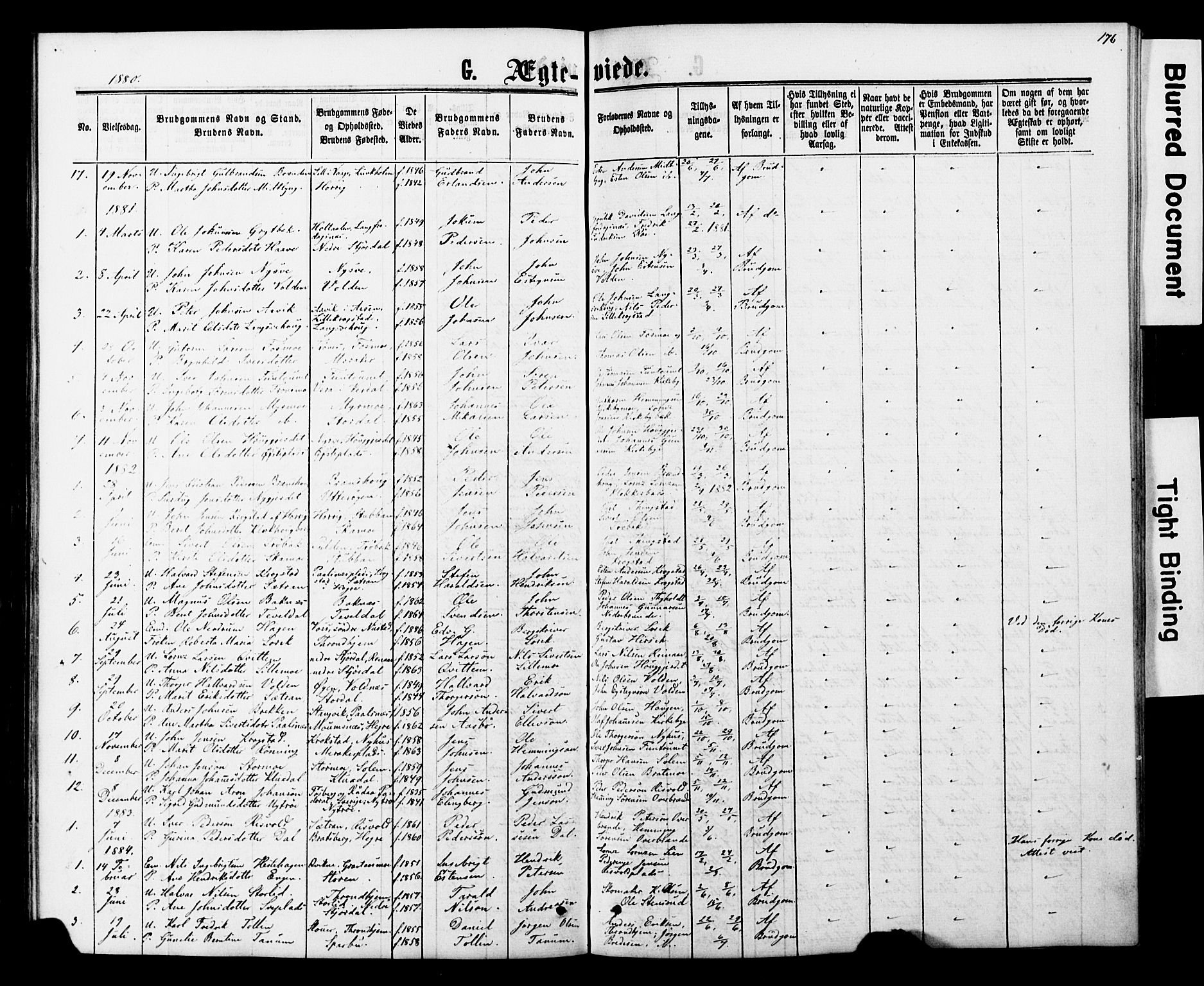 Ministerialprotokoller, klokkerbøker og fødselsregistre - Nord-Trøndelag, SAT/A-1458/706/L0049: Parish register (copy) no. 706C01, 1864-1895, p. 176