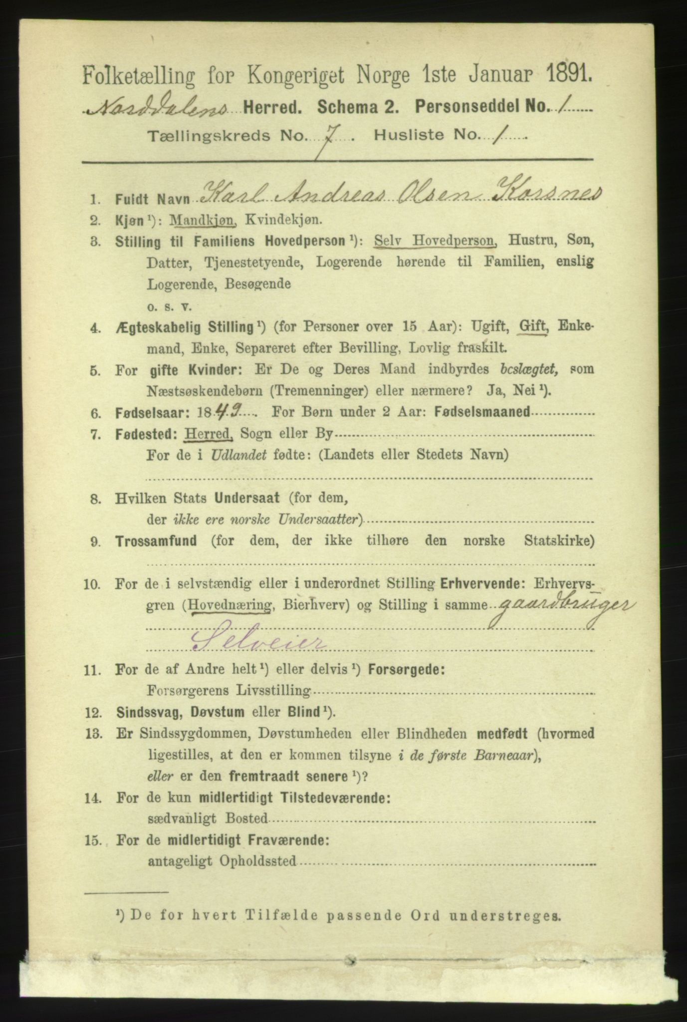 RA, 1891 census for 1524 Norddal, 1891, p. 1313