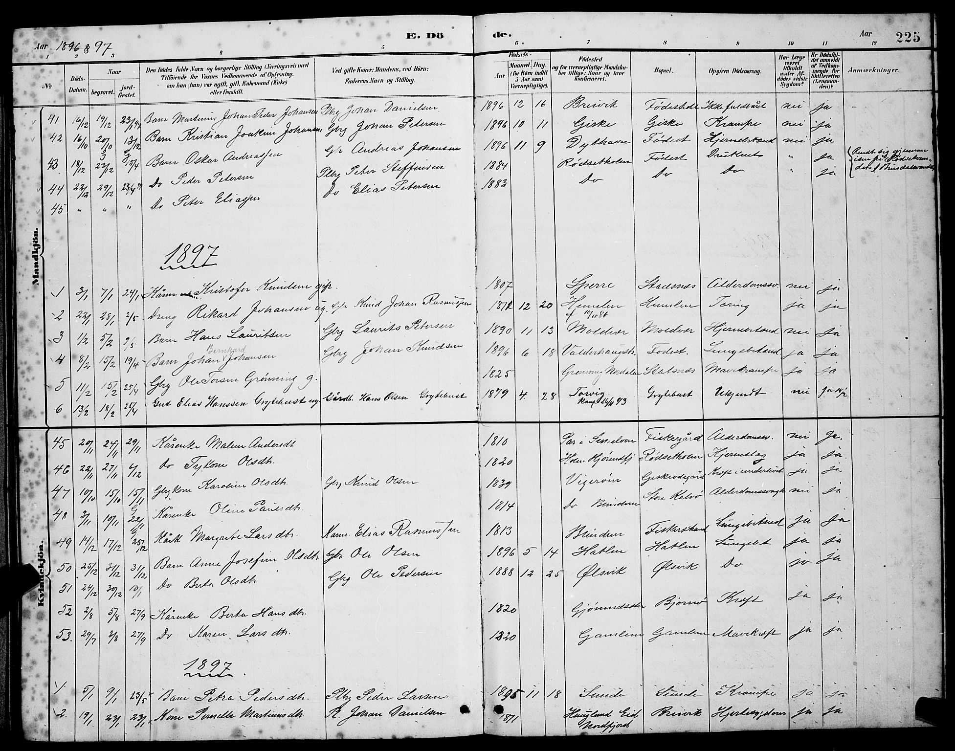 Ministerialprotokoller, klokkerbøker og fødselsregistre - Møre og Romsdal, SAT/A-1454/528/L0430: Parish register (copy) no. 528C11, 1884-1899, p. 225