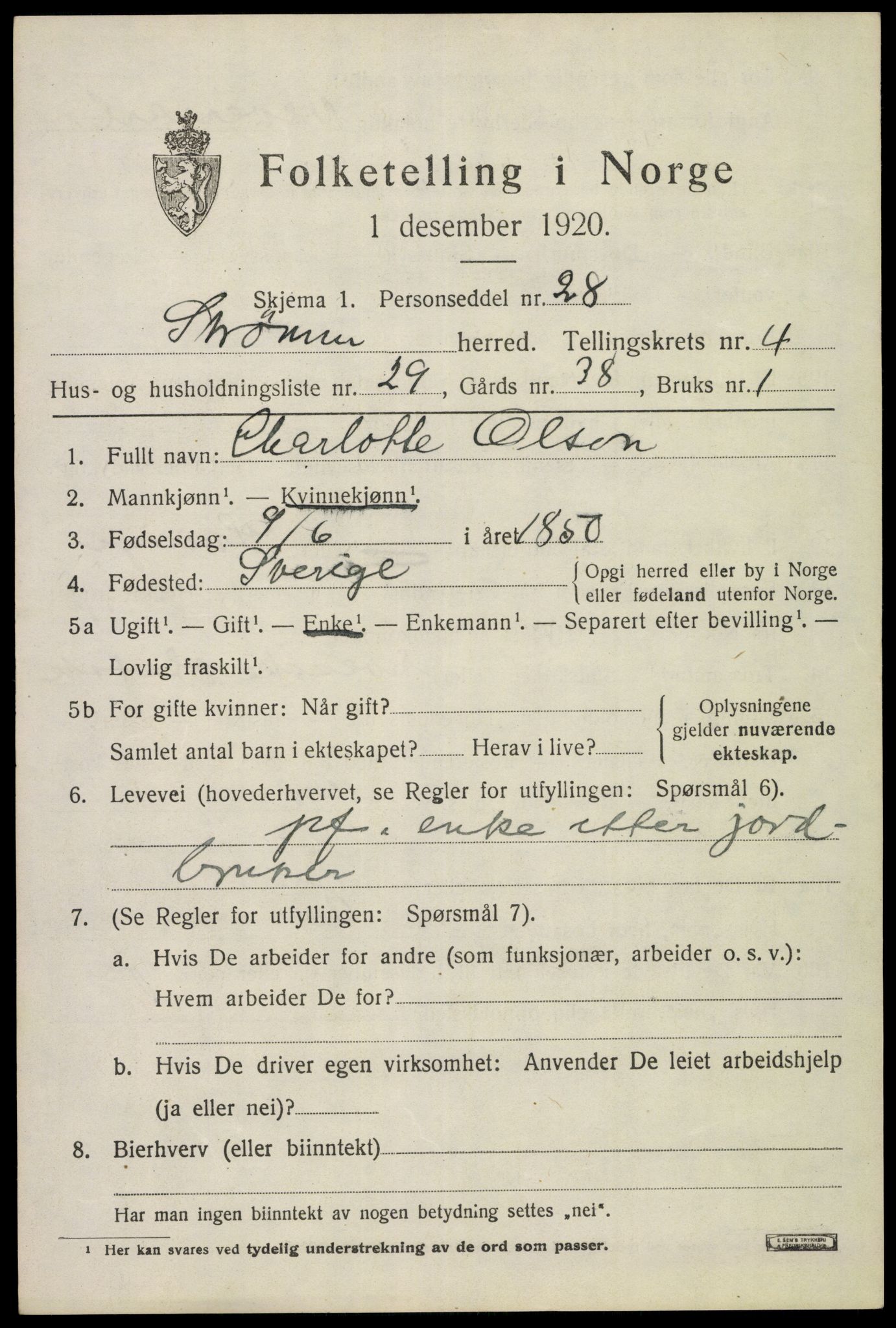 SAKO, 1920 census for Strømm, 1920, p. 3481