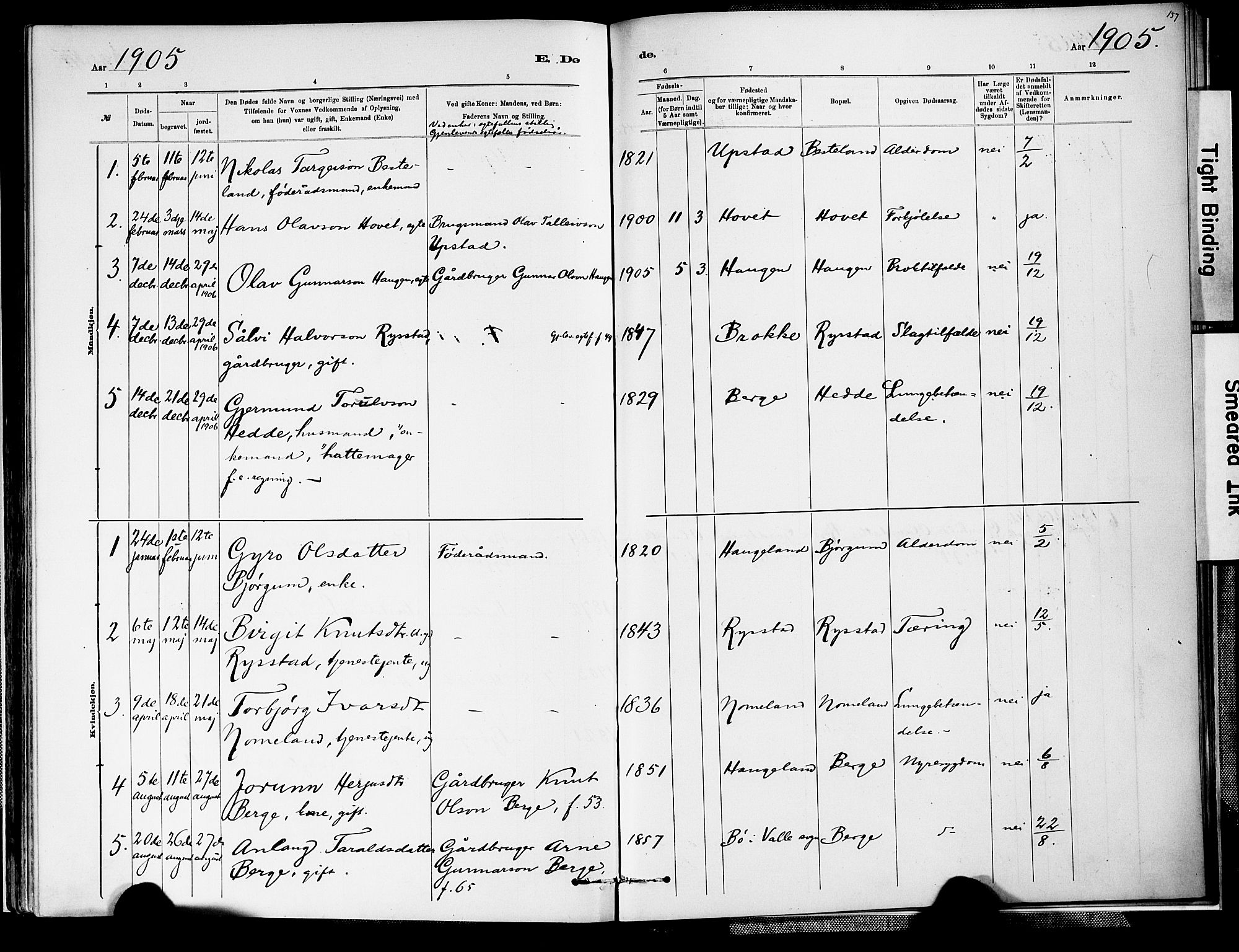 Valle sokneprestkontor, SAK/1111-0044/F/Fa/Fab/L0001: Parish register (official) no. A 1, 1882-1910, p. 157