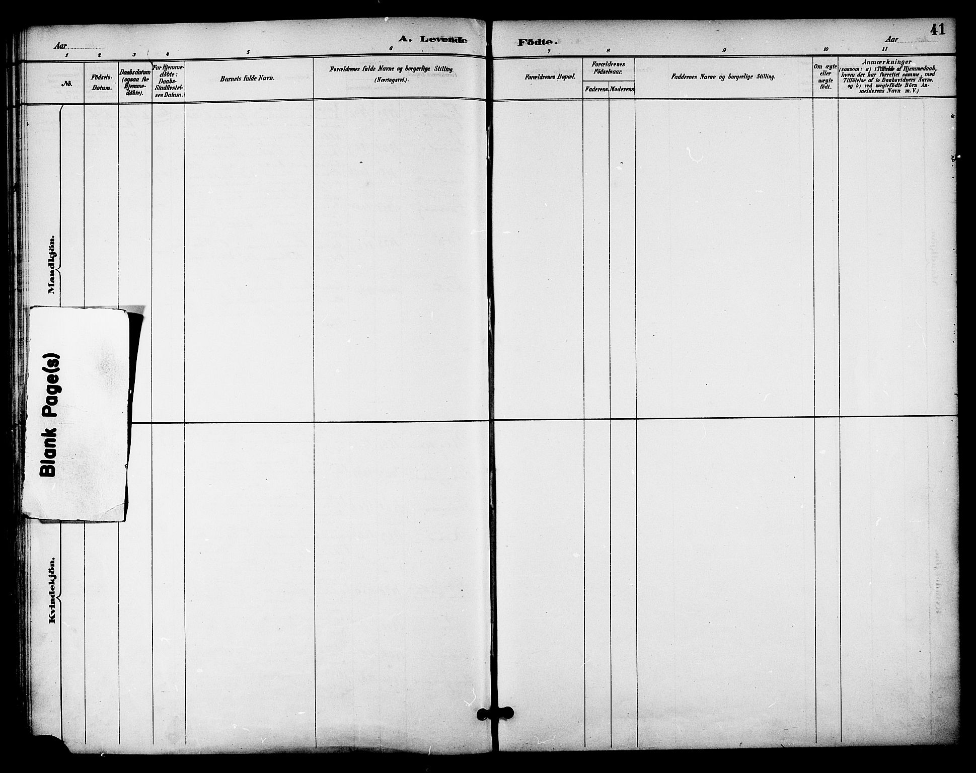 Ministerialprotokoller, klokkerbøker og fødselsregistre - Nordland, AV/SAT-A-1459/841/L0610: Parish register (official) no. 841A14, 1890-1901, p. 41