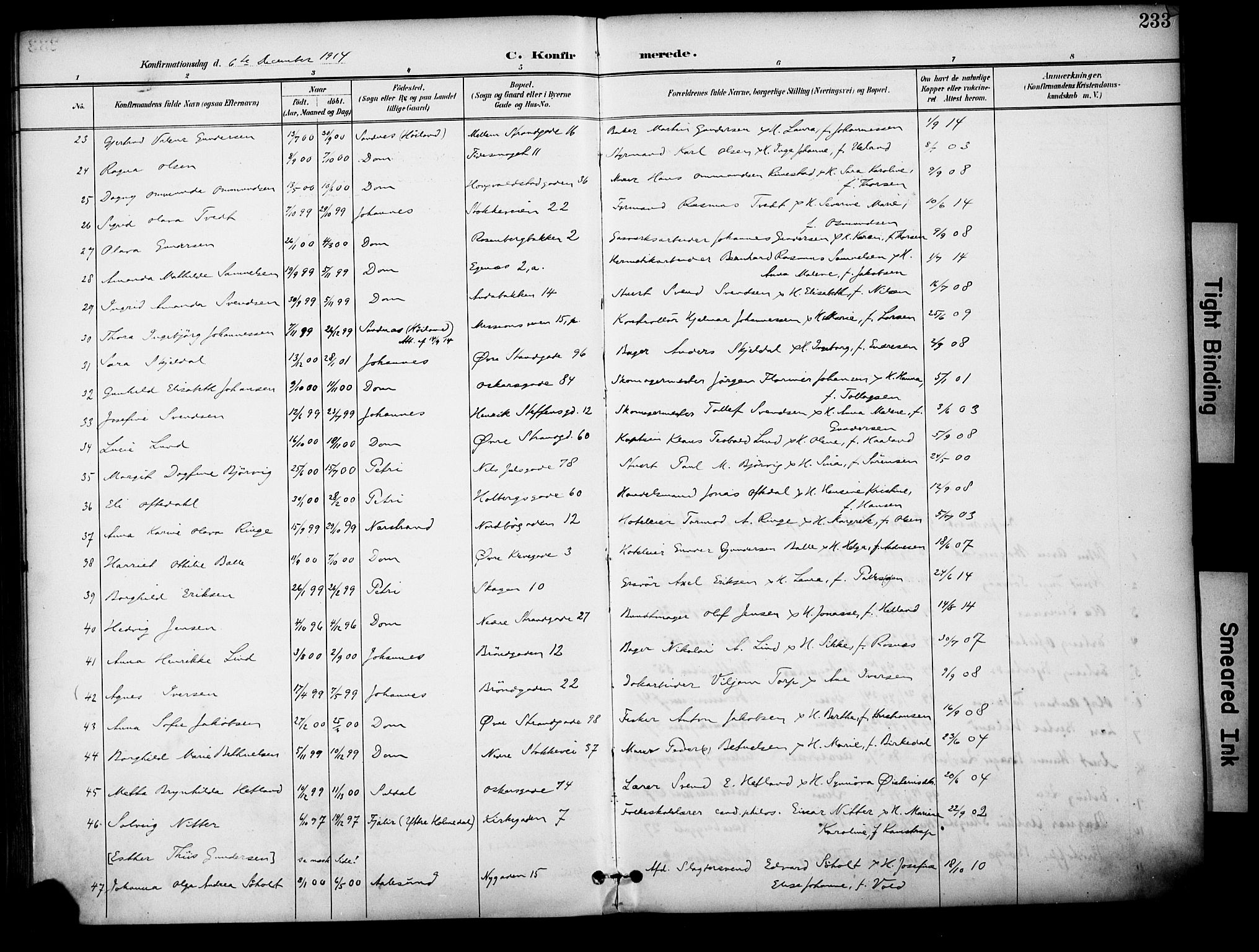 Domkirken sokneprestkontor, AV/SAST-A-101812/001/30/30BA/L0031: Parish register (official) no. A 30, 1896-1916, p. 233