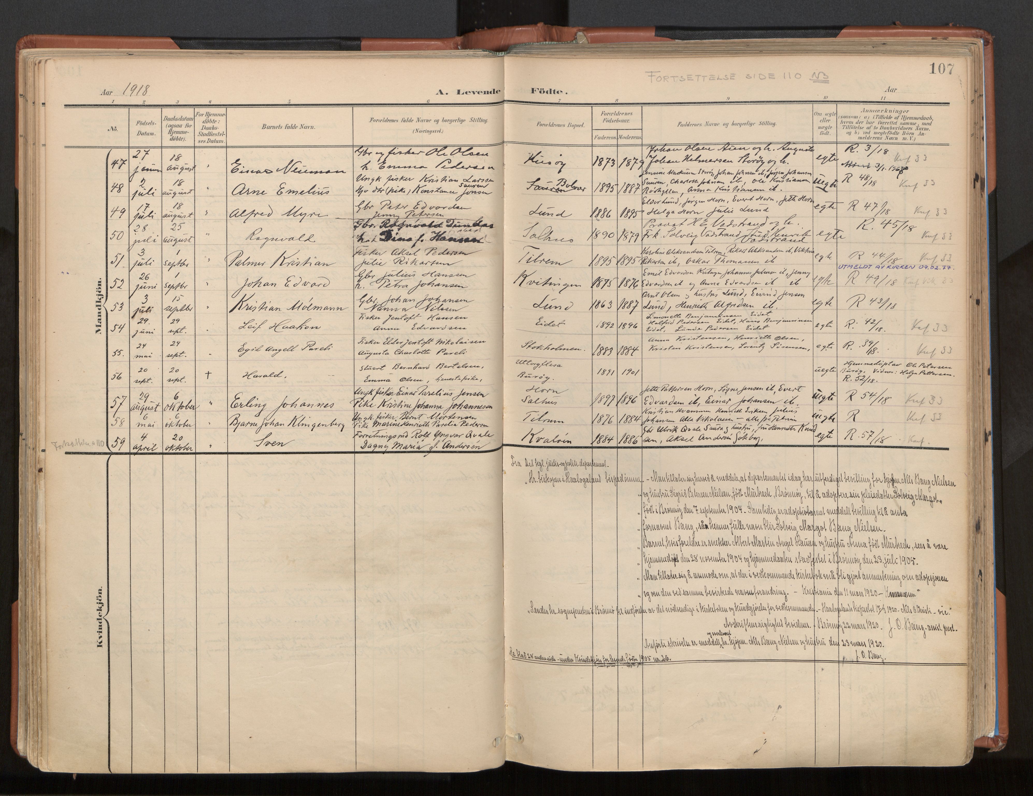Ministerialprotokoller, klokkerbøker og fødselsregistre - Nordland, SAT/A-1459/813/L0201: Parish register (official) no. 813A11, 1901-1918, p. 107