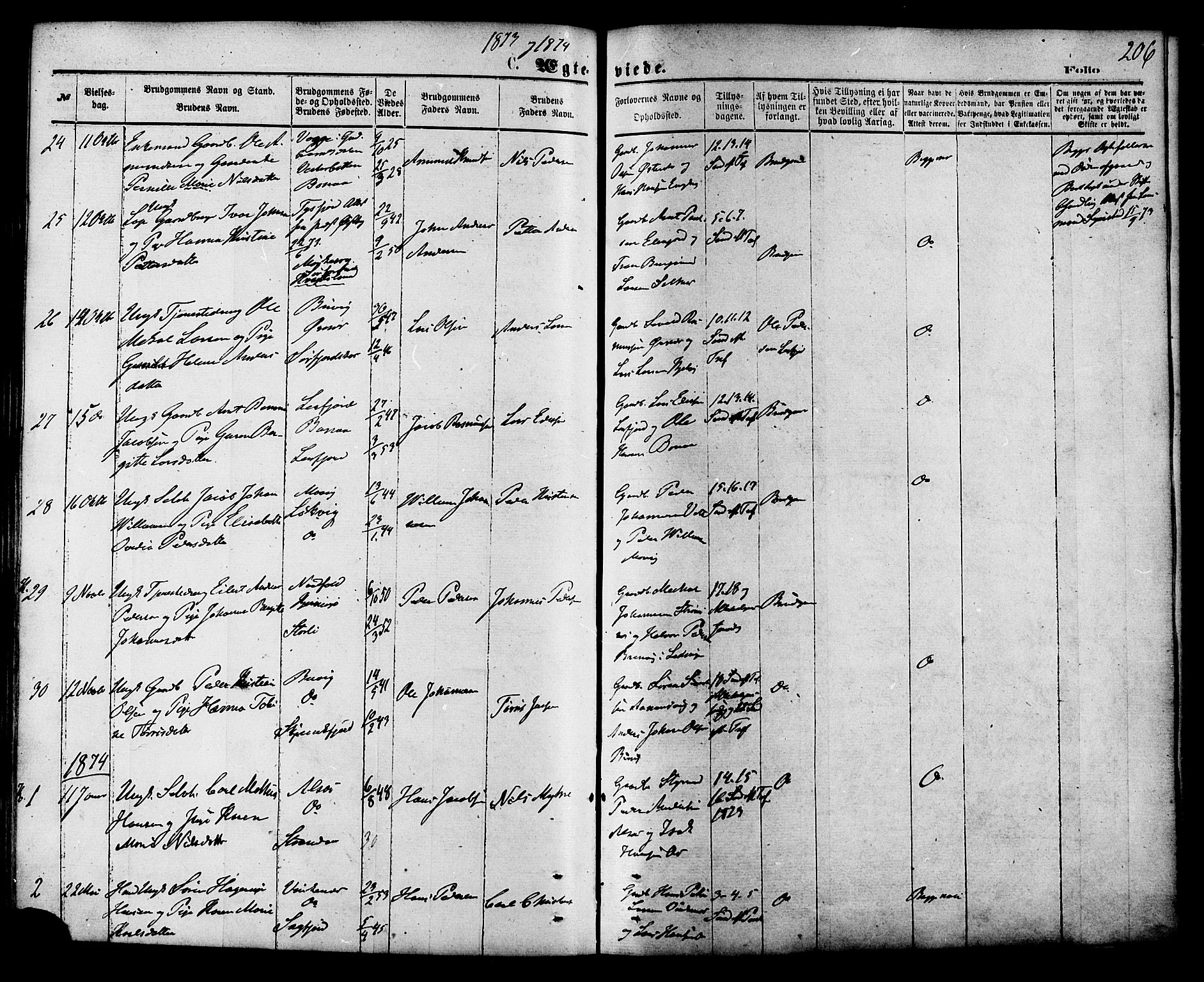 Ministerialprotokoller, klokkerbøker og fødselsregistre - Nordland, SAT/A-1459/853/L0771: Parish register (official) no. 853A10, 1870-1881, p. 206