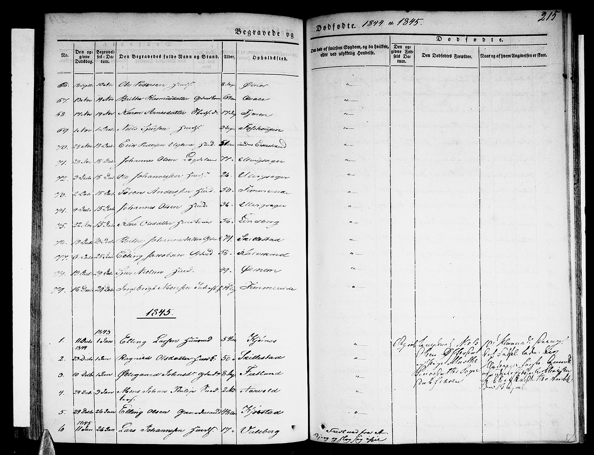 Sogndal sokneprestembete, SAB/A-81301/H/Haa/Haaa/L0011: Parish register (official) no. A 11, 1839-1847, p. 215