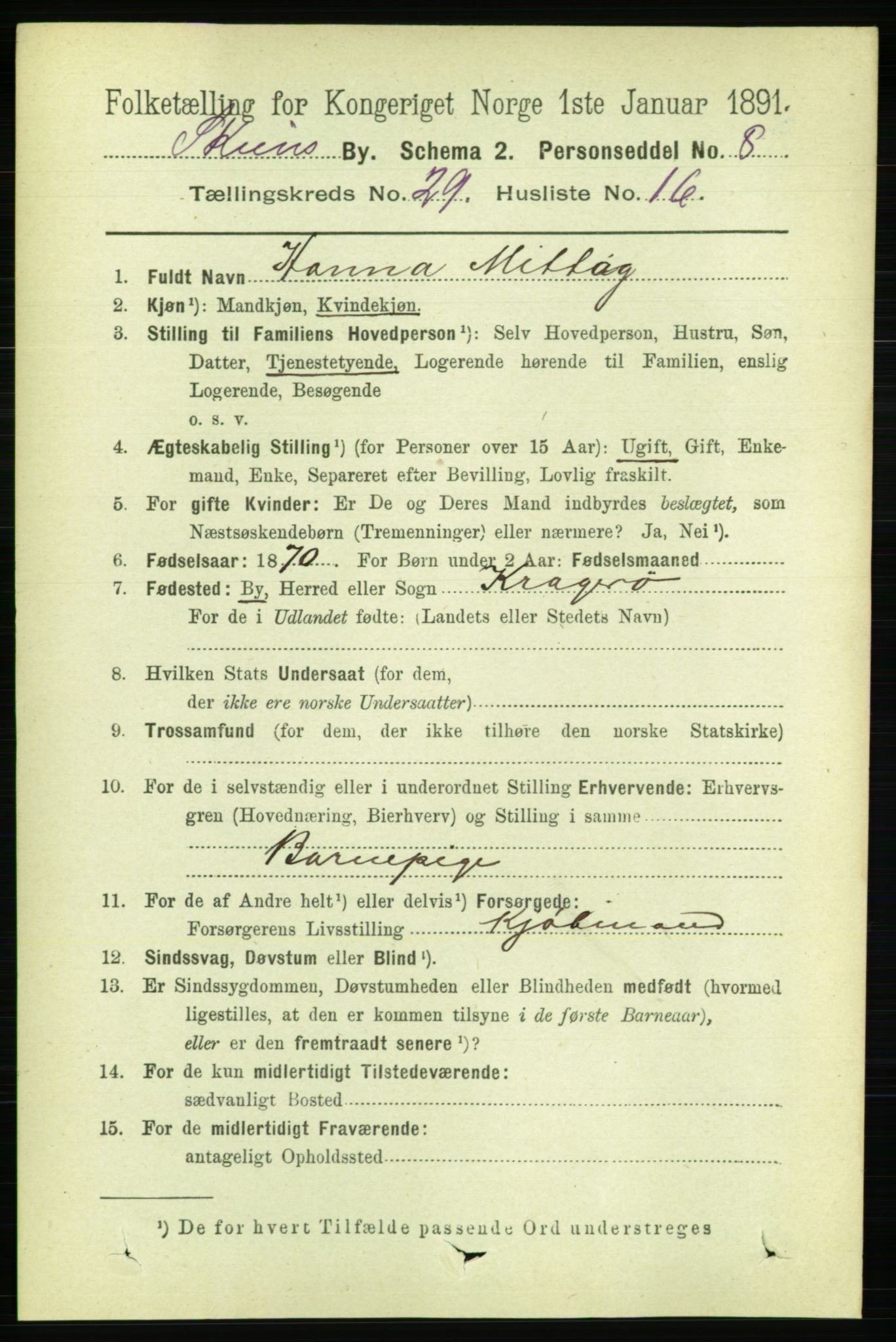 RA, 1891 census for 0806 Skien, 1891, p. 6849