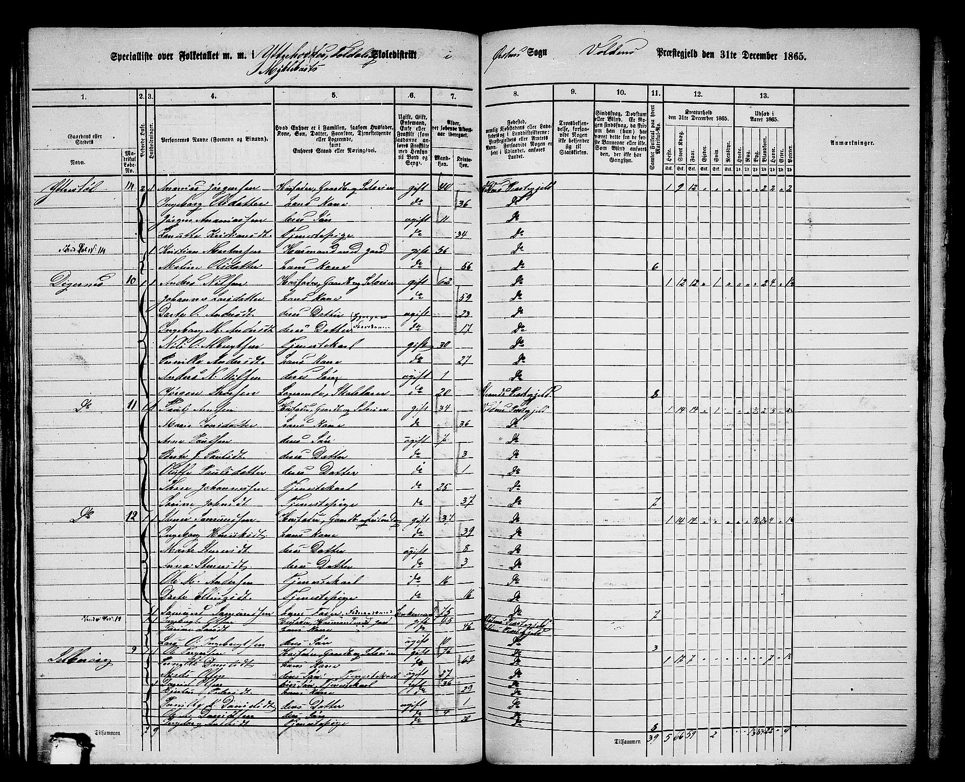 RA, 1865 census for Volda, 1865, p. 98