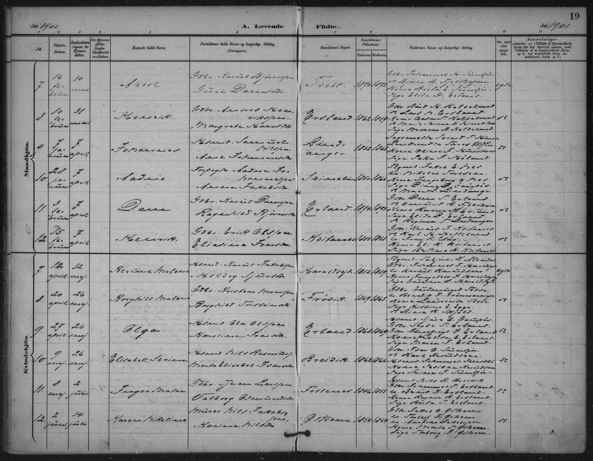 Skjold sokneprestkontor, SAST/A-101847/H/Ha/Haa/L0011: Parish register (official) no. A 11, 1897-1914, p. 19