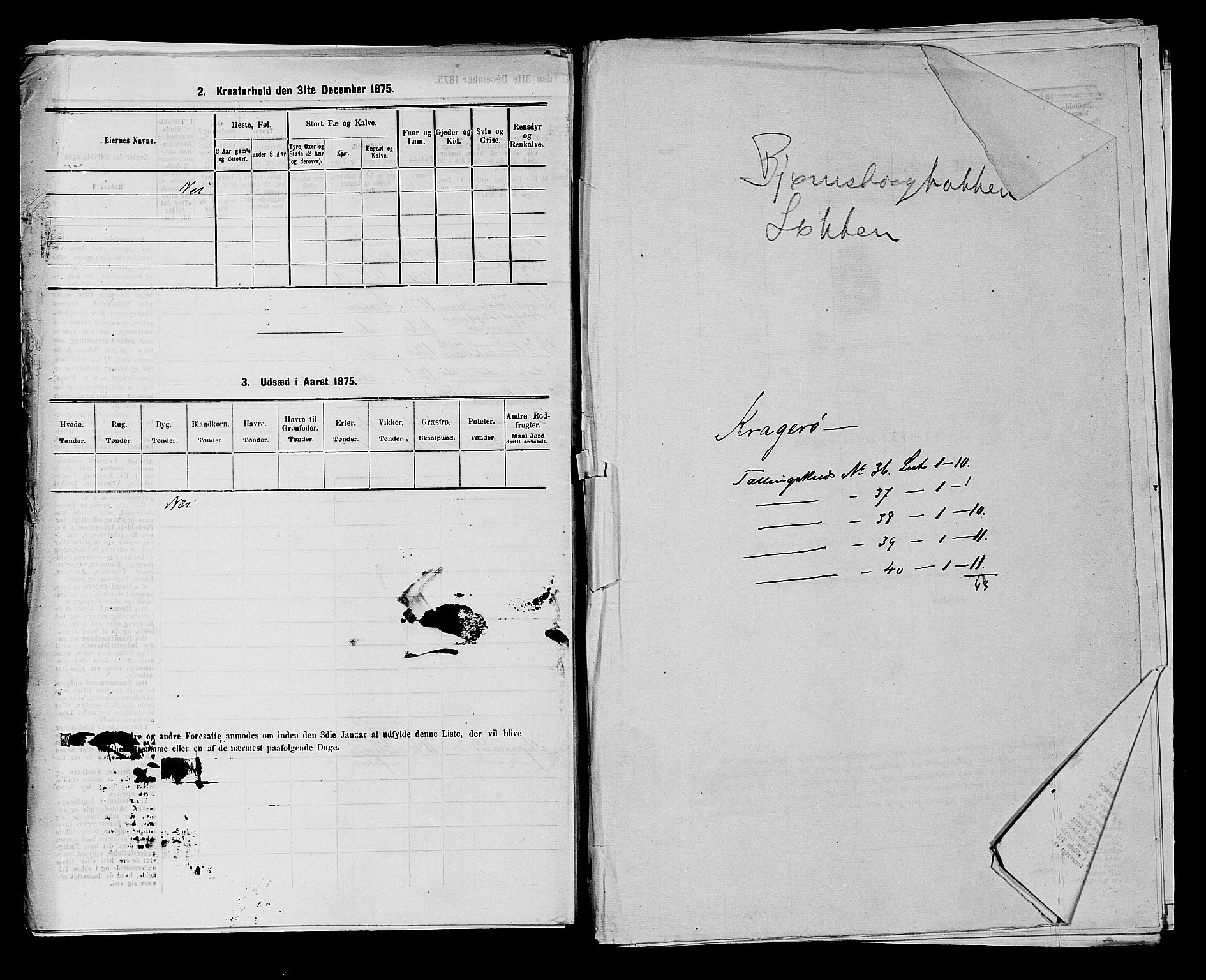 SAKO, 1875 census for 0801P Kragerø, 1875, p. 804