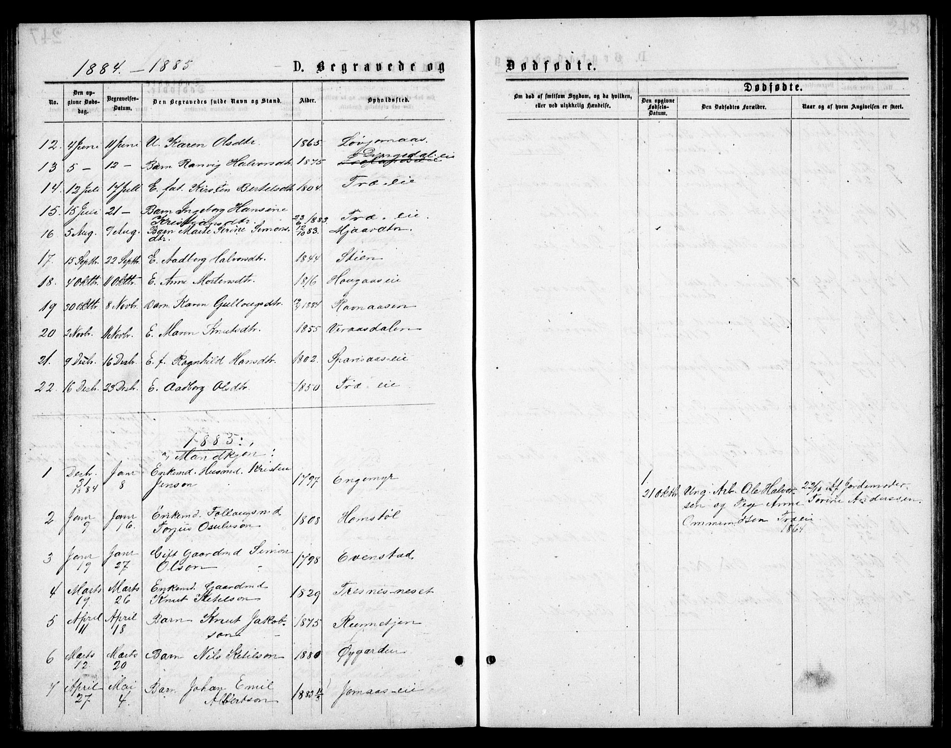 Froland sokneprestkontor, AV/SAK-1111-0013/F/Fb/L0009: Parish register (copy) no. B 9, 1875-1893, p. 247b