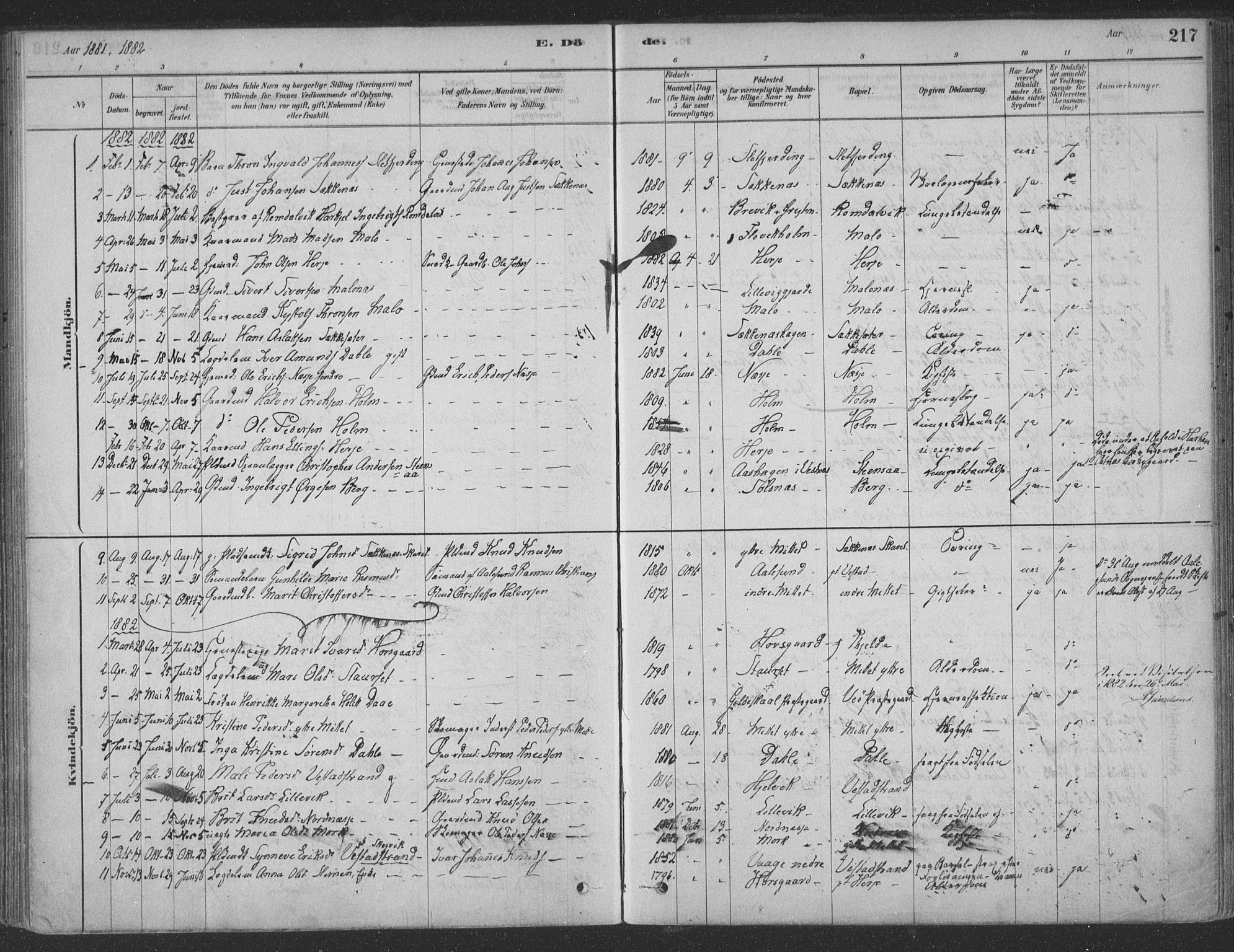 Ministerialprotokoller, klokkerbøker og fødselsregistre - Møre og Romsdal, SAT/A-1454/547/L0604: Parish register (official) no. 547A06, 1878-1906, p. 217