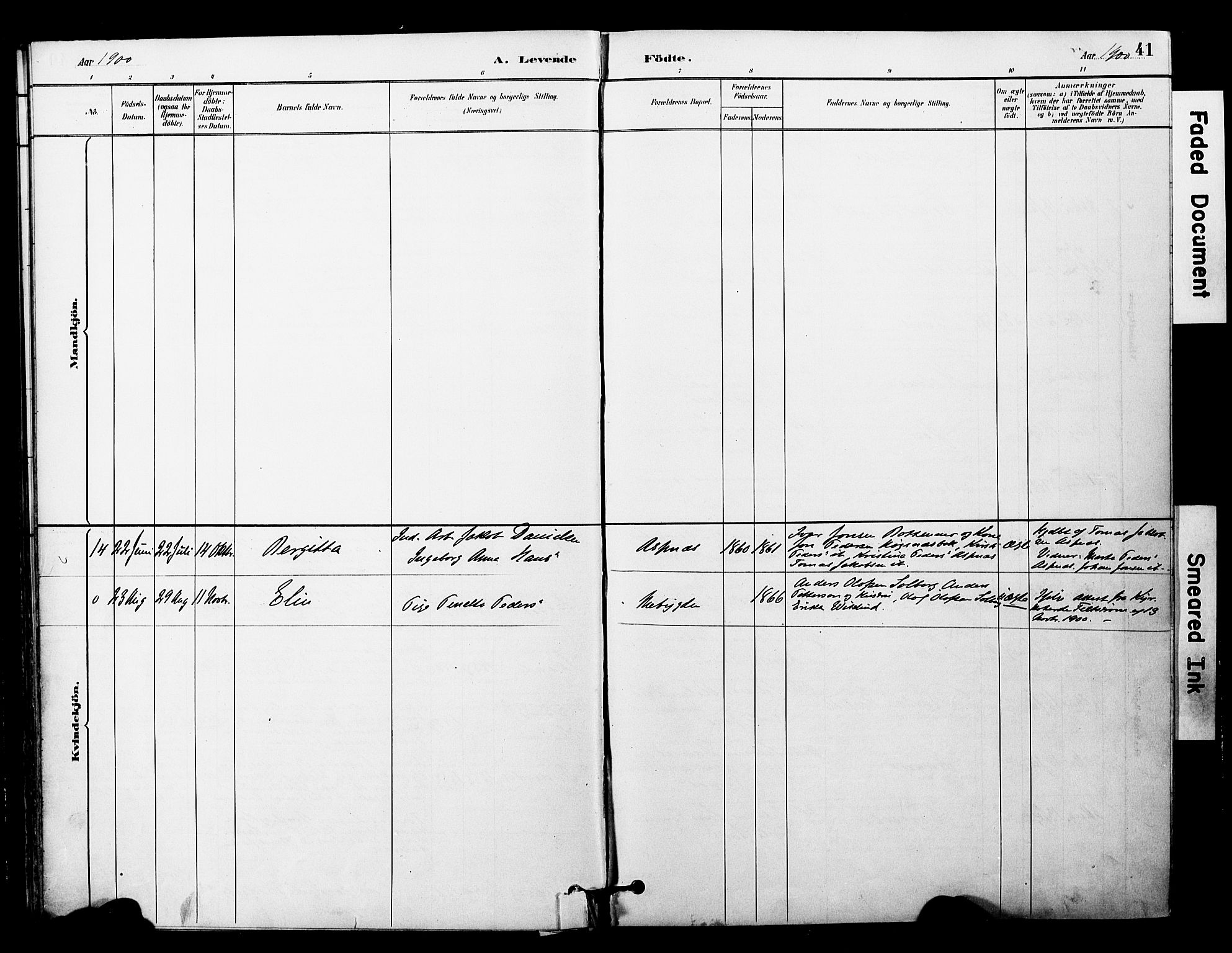 Ministerialprotokoller, klokkerbøker og fødselsregistre - Nord-Trøndelag, SAT/A-1458/757/L0505: Parish register (official) no. 757A01, 1882-1904, p. 41