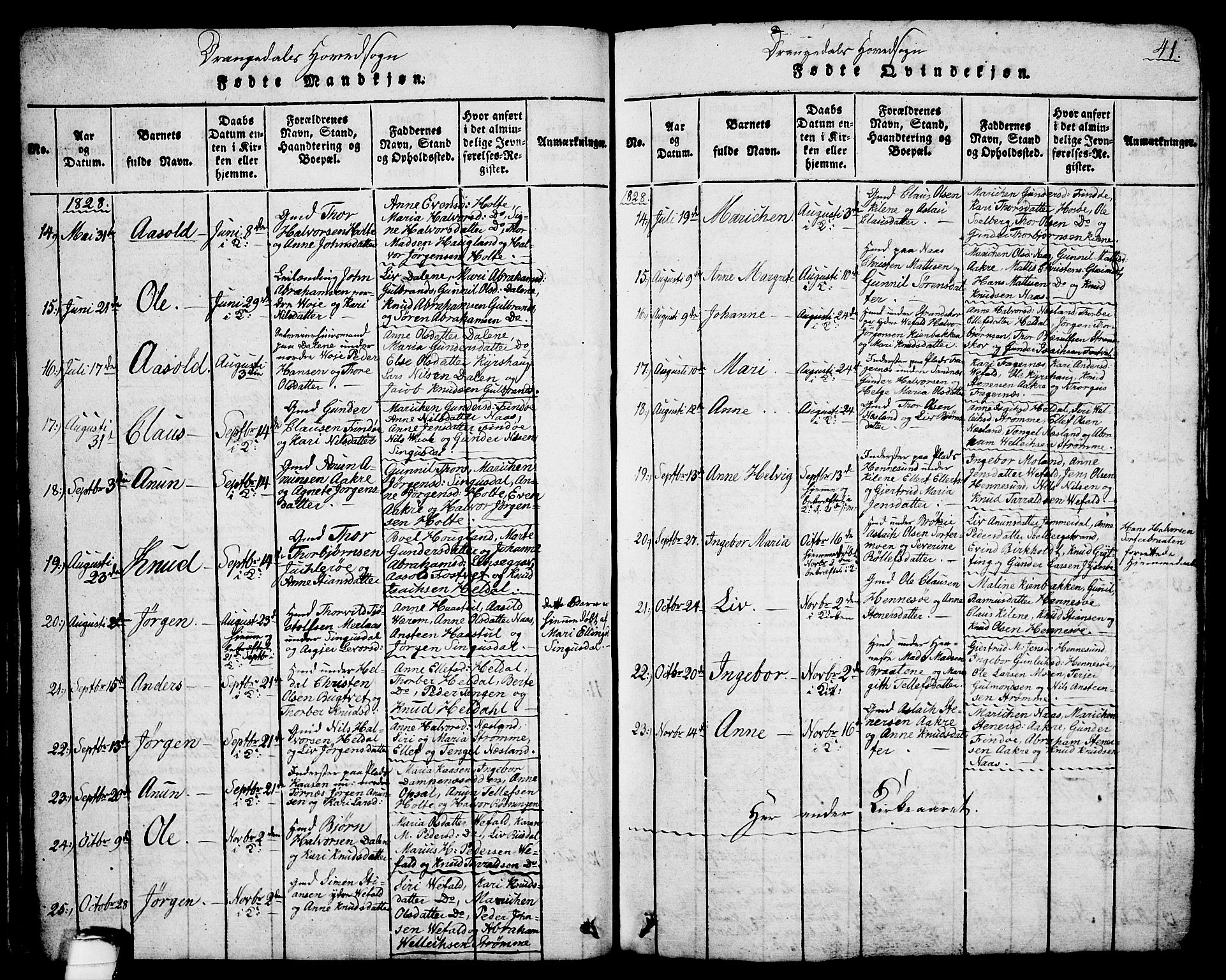 Drangedal kirkebøker, AV/SAKO-A-258/G/Ga/L0001: Parish register (copy) no. I 1 /1, 1814-1856, p. 41