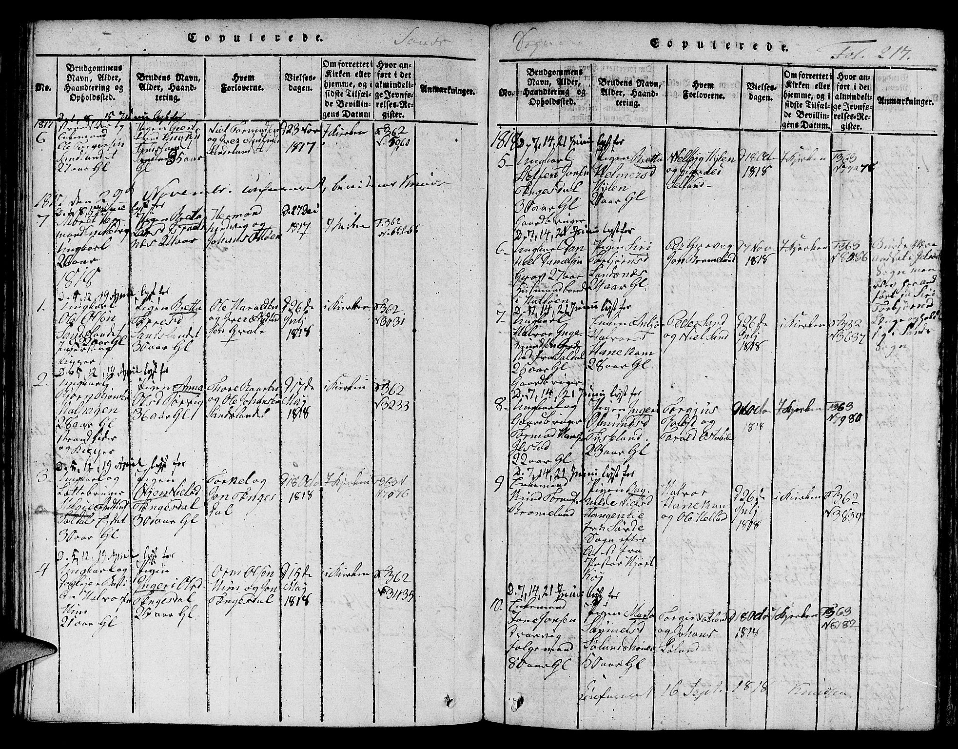 Jelsa sokneprestkontor, SAST/A-101842/01/V: Parish register (copy) no. B 1 /2, 1816-1828, p. 217
